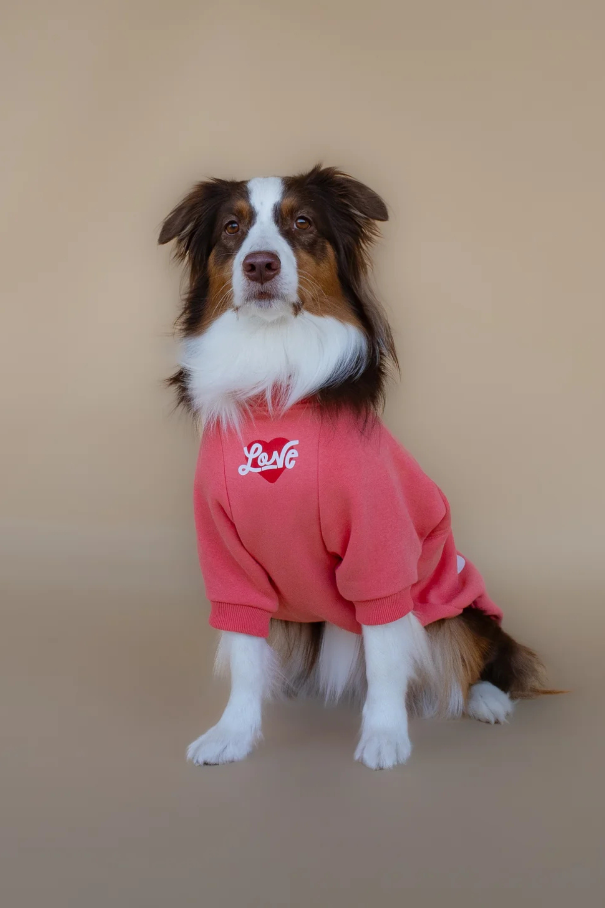 Asky&Erd Love Sweatshirt | Coral Rose