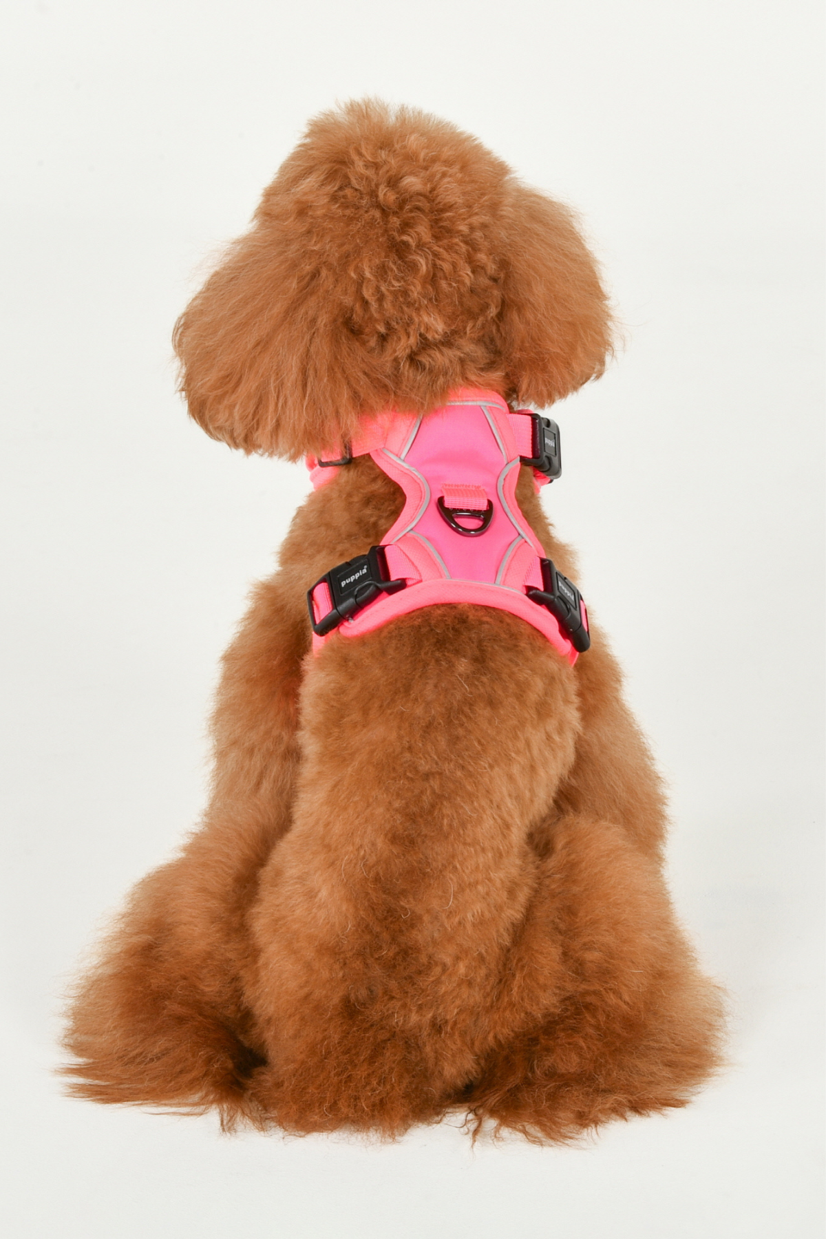 Puppia Neon Harness H Göğüs Tasması Pembe