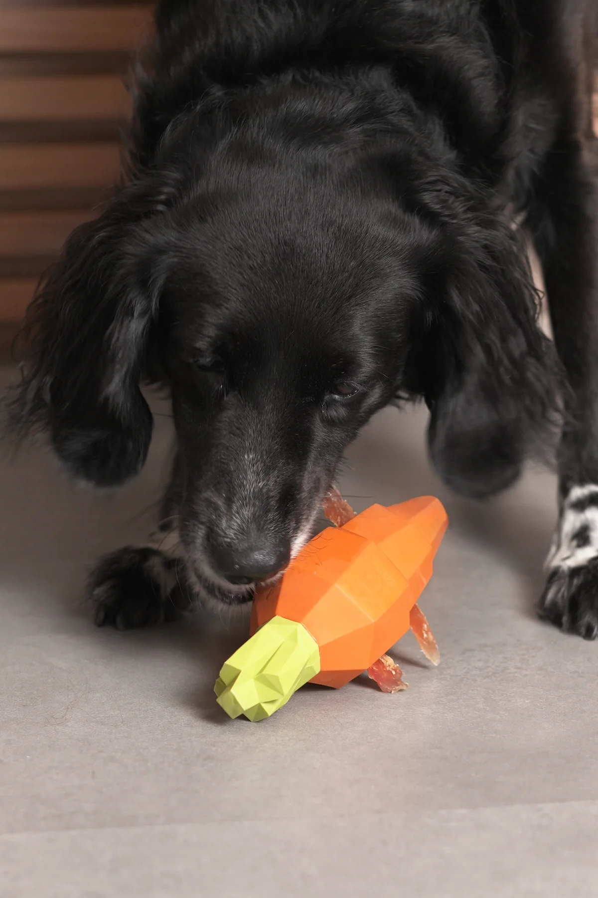 Zee.Dog | Super Veggıez Carrot