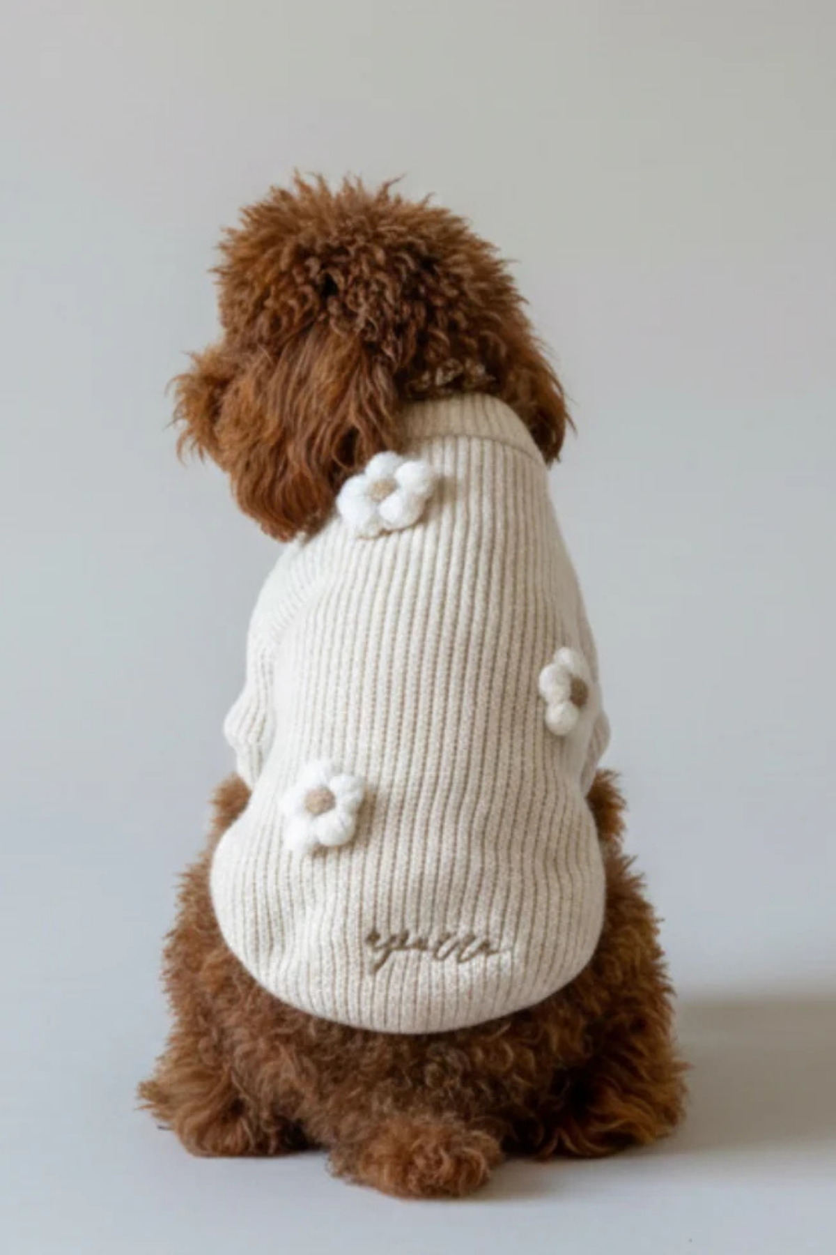 Apac.co Çiçekli Köpek Kazak Bej 