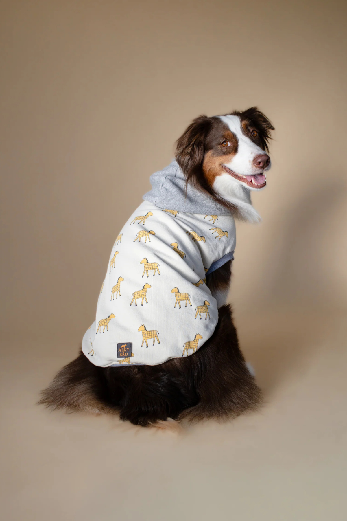 Asky&Erd Wild Mustang Sweatshirt