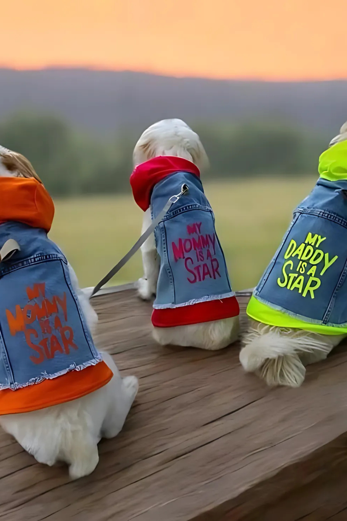 ZiggyDog Daddy Neon Sarı Kot Rengi Kot Ceketi