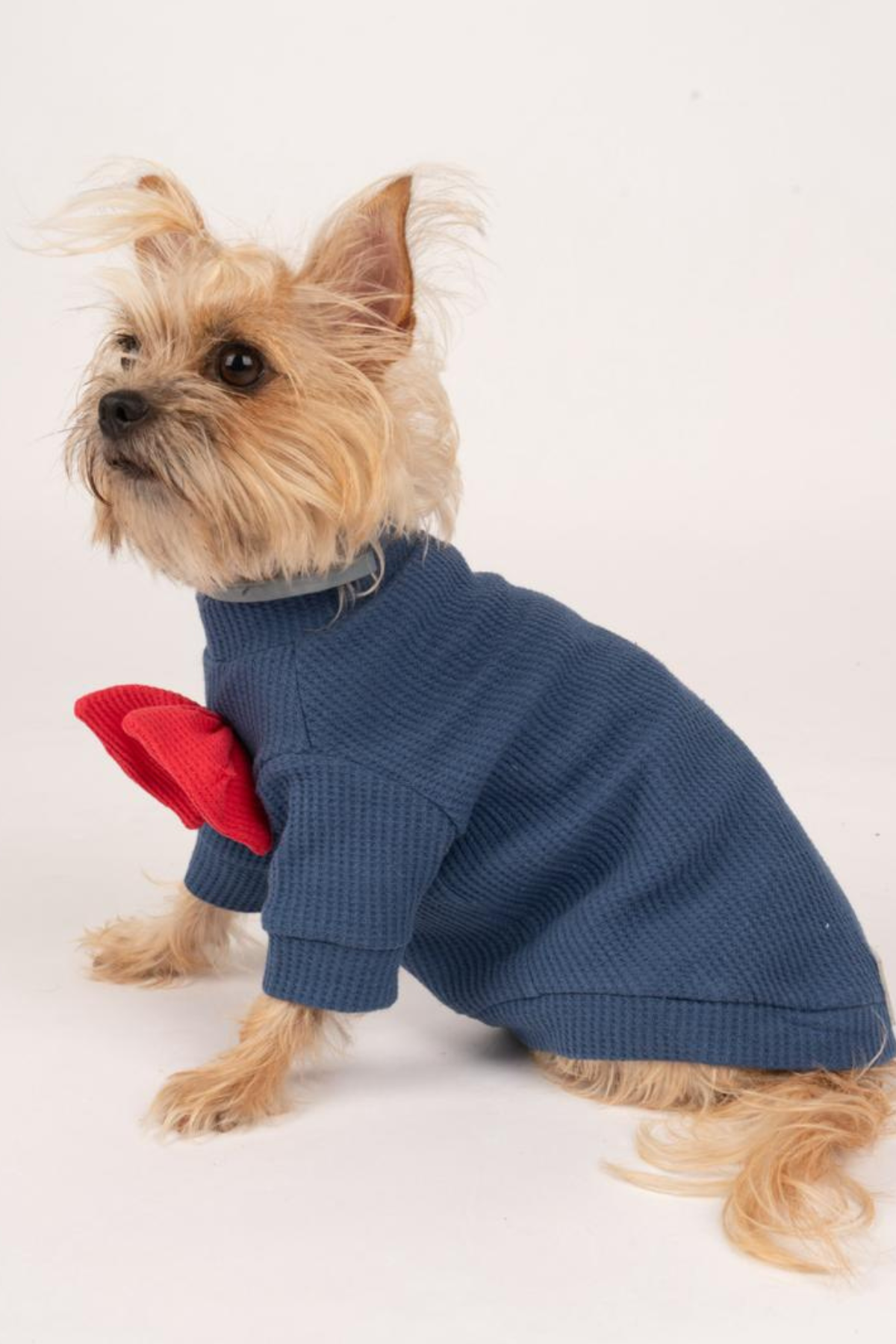 Doredog Woofle Mavi Papyonlu Tshirt