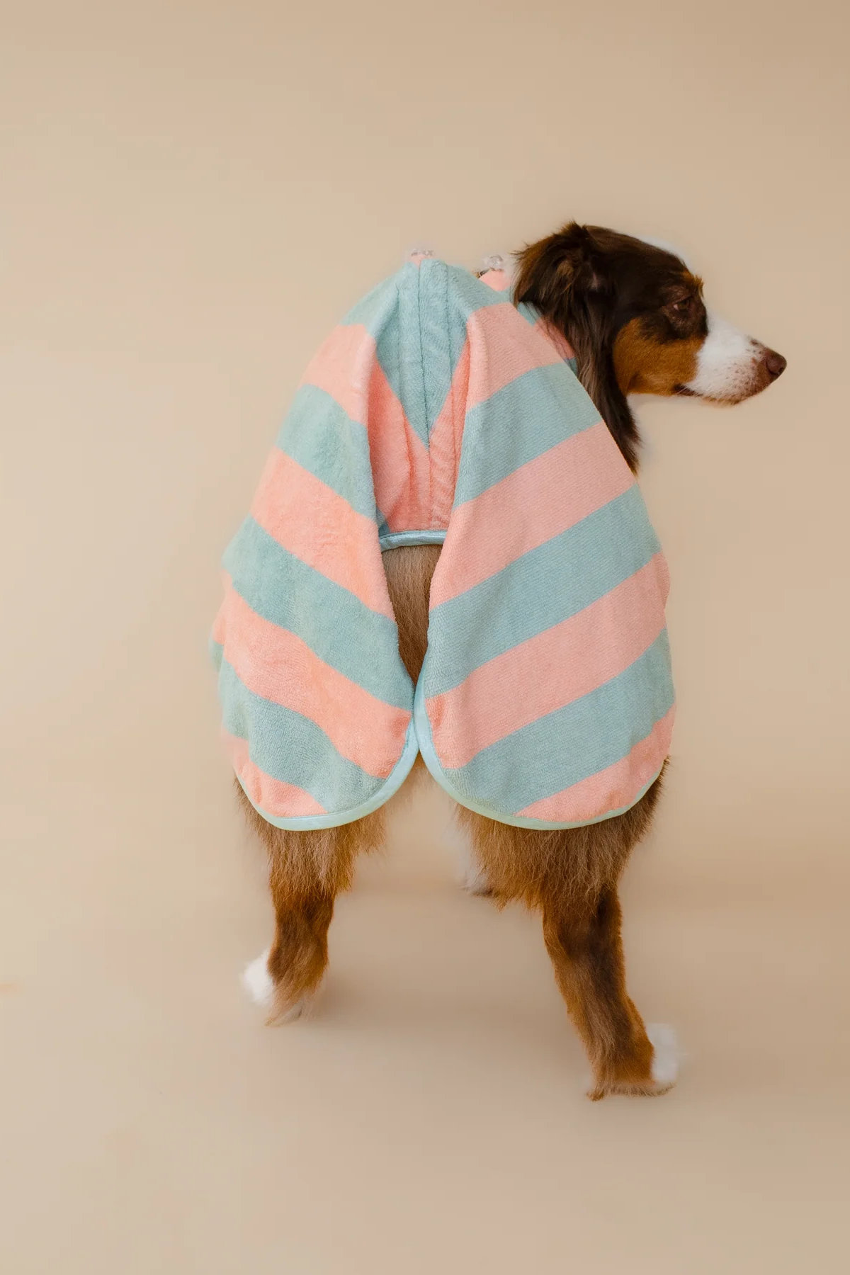 Asky&Erd Soft Rituals Cepli Köpek Kurulama Havlusu Deniz Köpüğü ve Somon Rengi Çizgili Pijamalar ve Bornozlar
