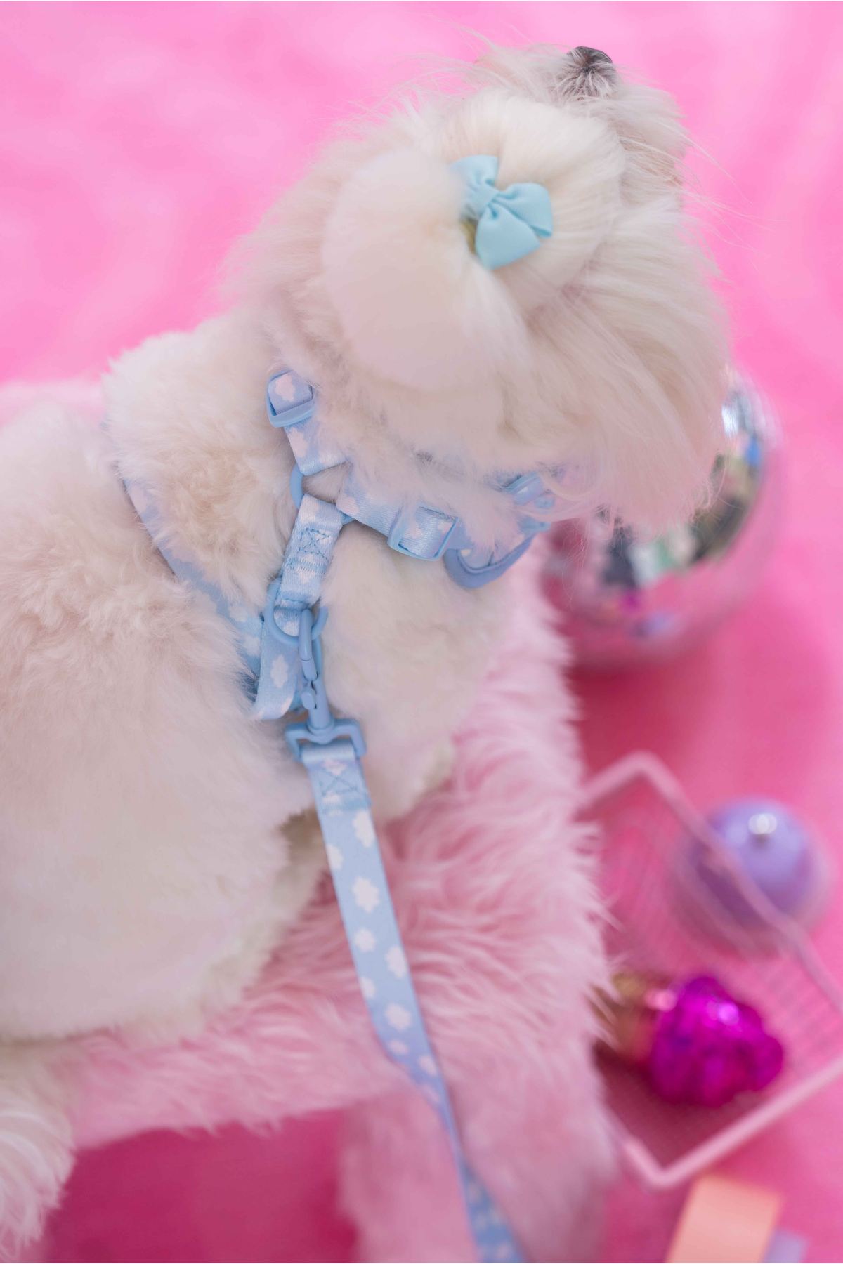 Lolidogs Köpek Göğüs Tasması ve Kayış Seti | Cloud