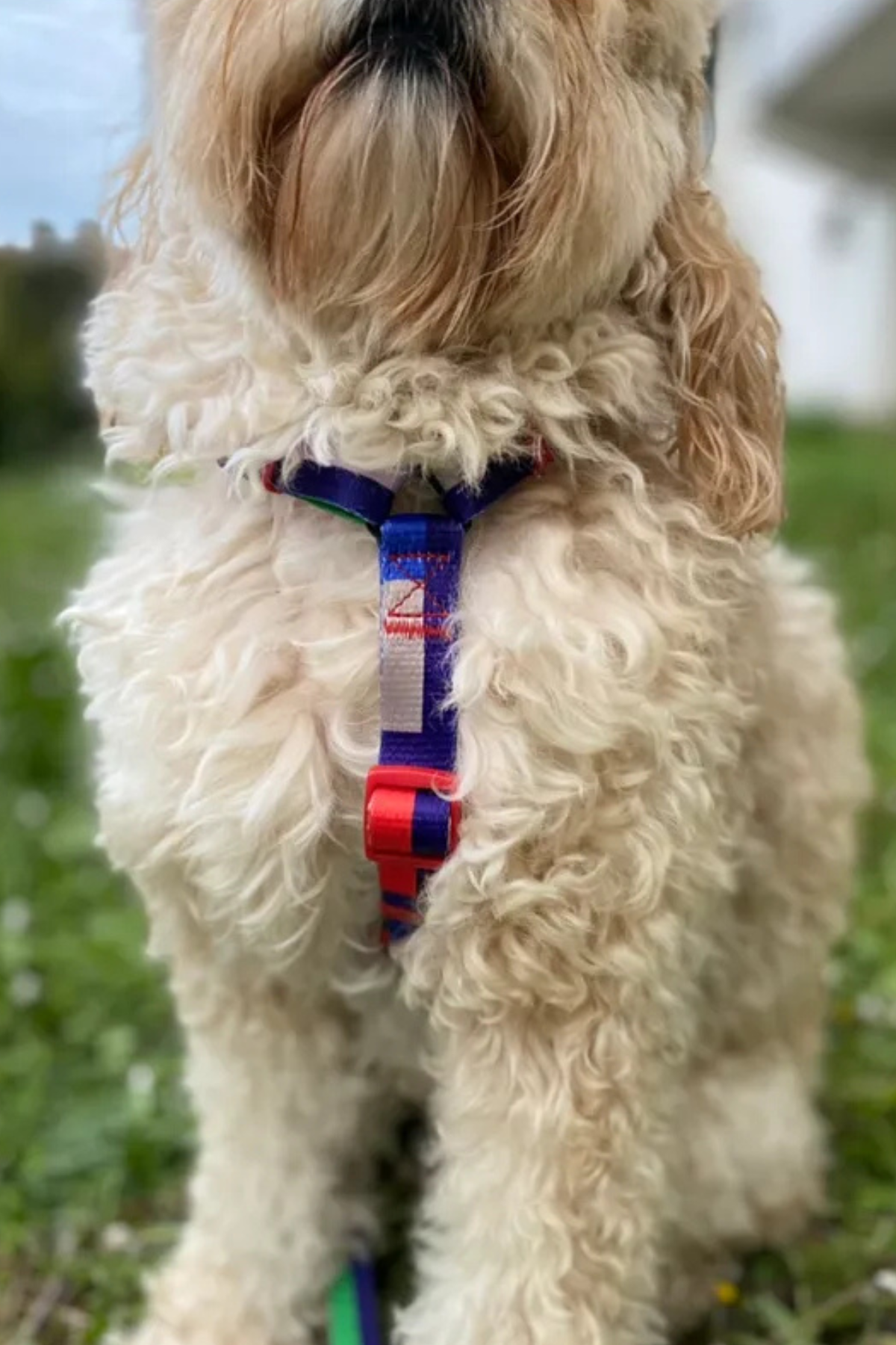 Fluffy Buddies Indigo H tipi Göğüs Tasması Medium 