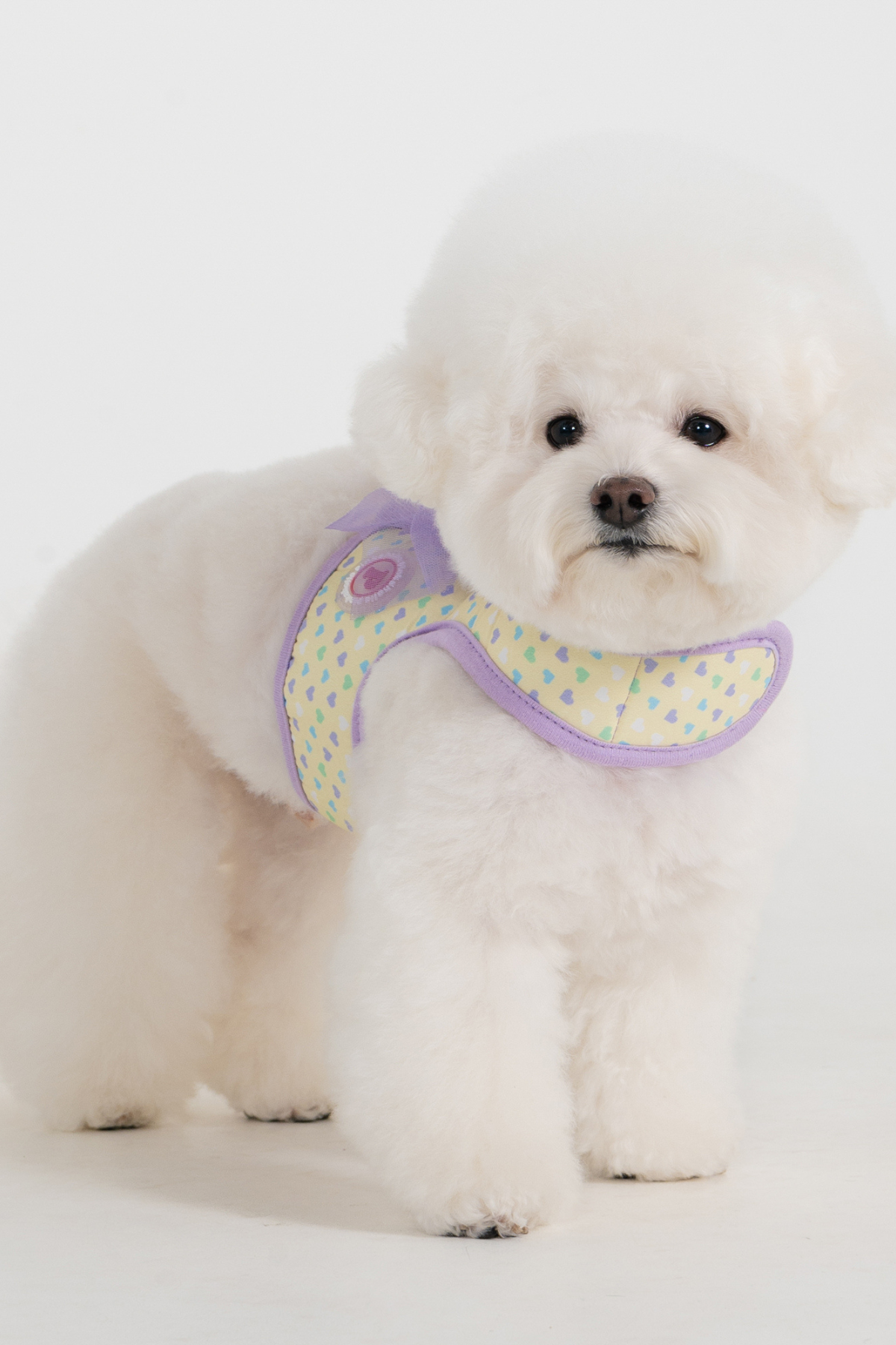 Pinkaholic New York Mabel Harness Köpek Göğüs Tasması Mor 