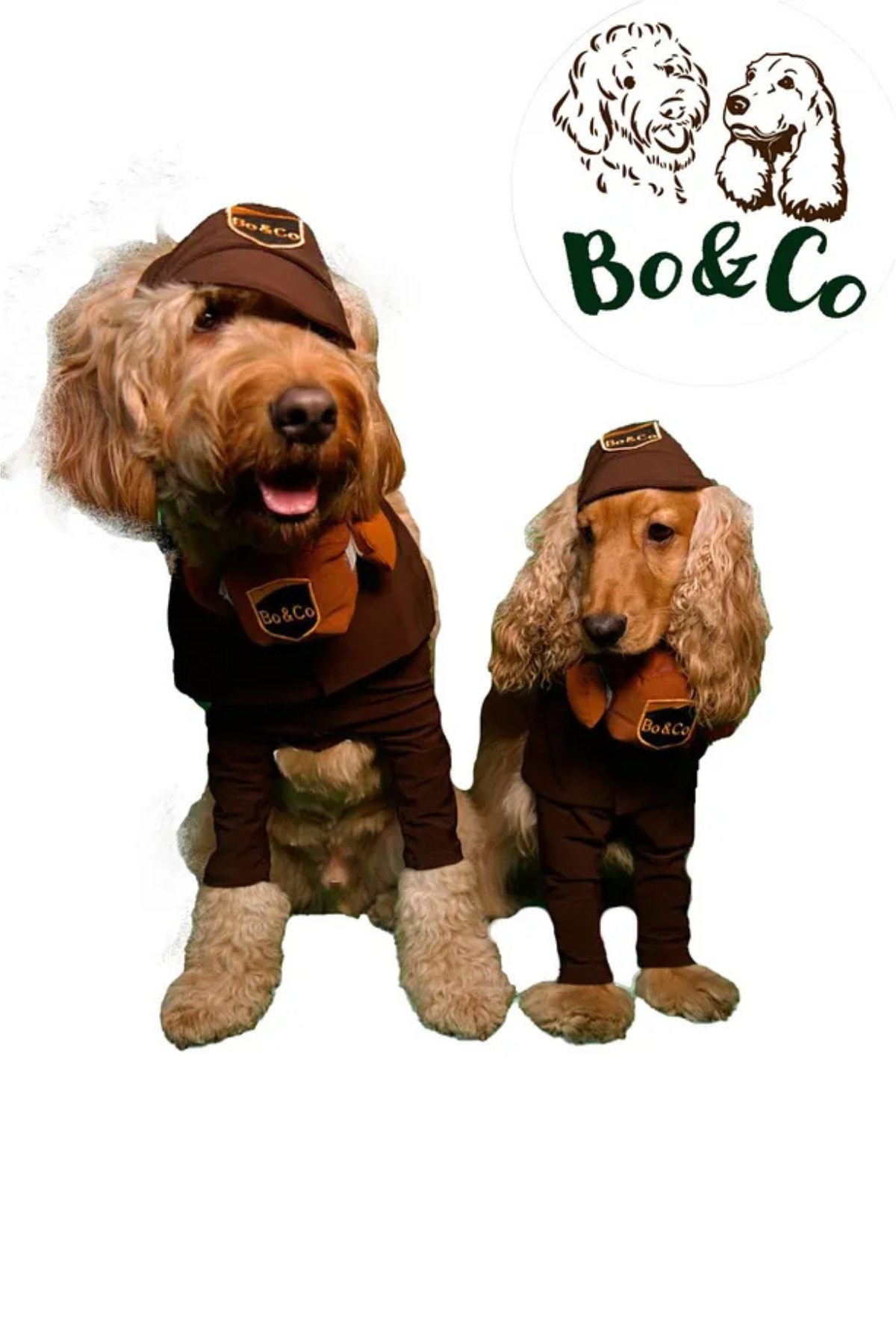 Bo&Co Postacı Kostümü