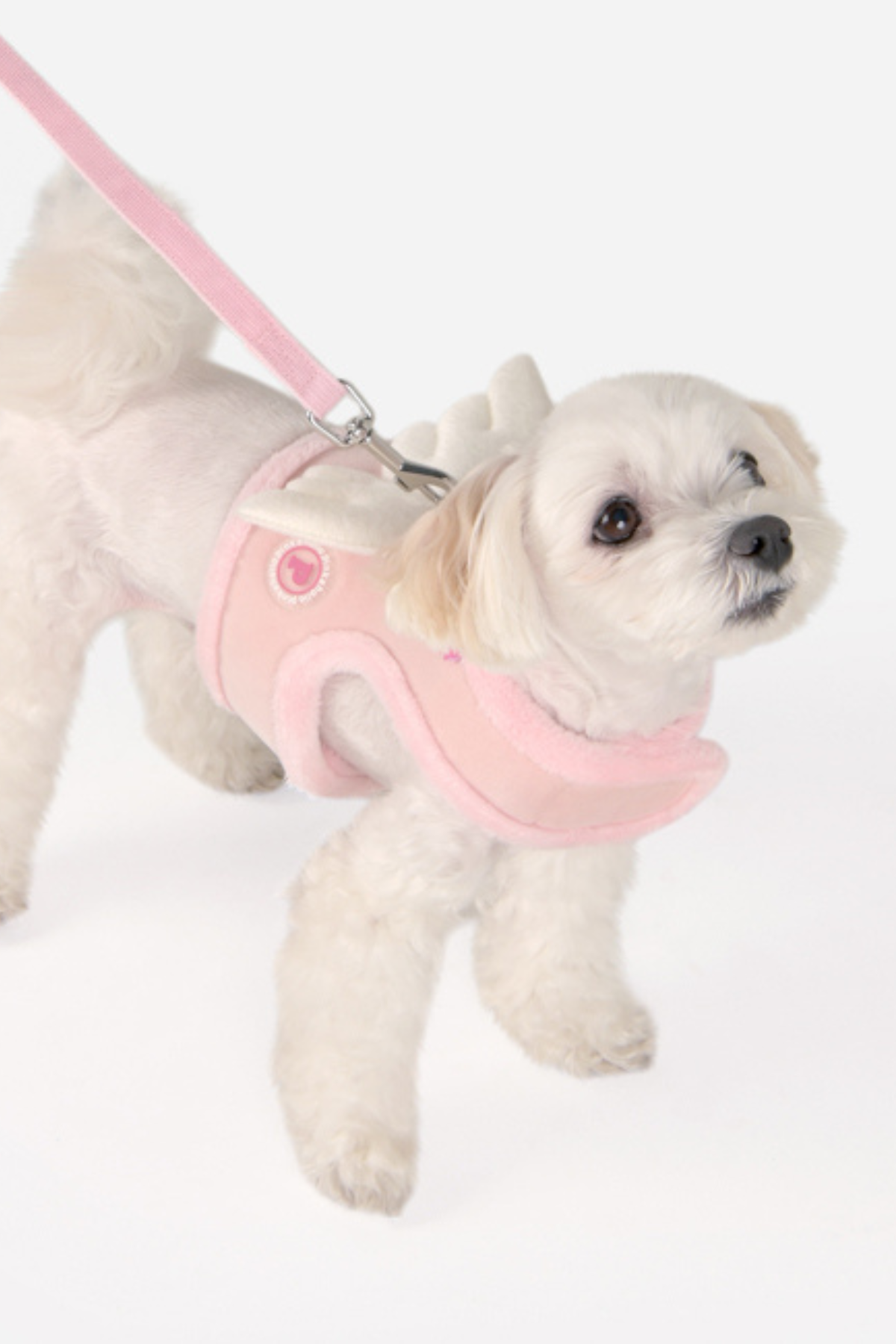 Pinkaholic Peliah Pinka Harness Köpek Göğüs Tasması Pembe
