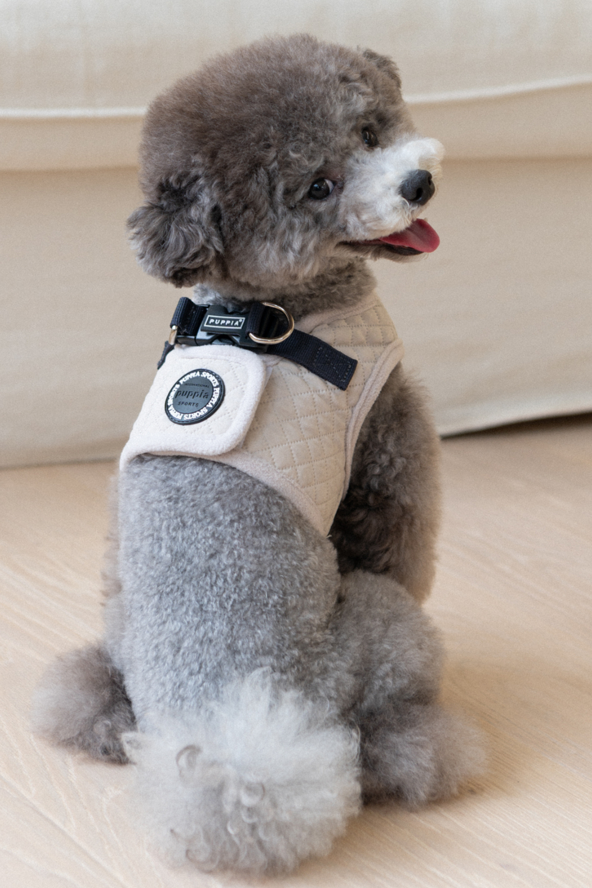 Irvin Harness B Köpek Göğüs Tasması Krem Rengi 