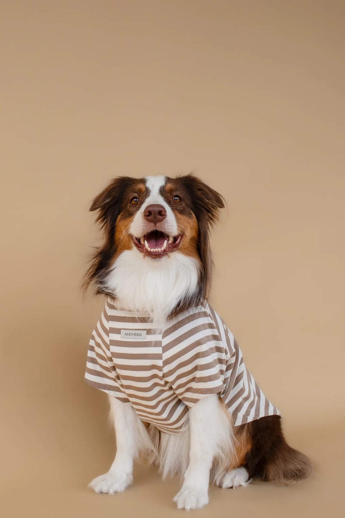 Asky&Erd Heritage Stripe Tshirt Oat Latte