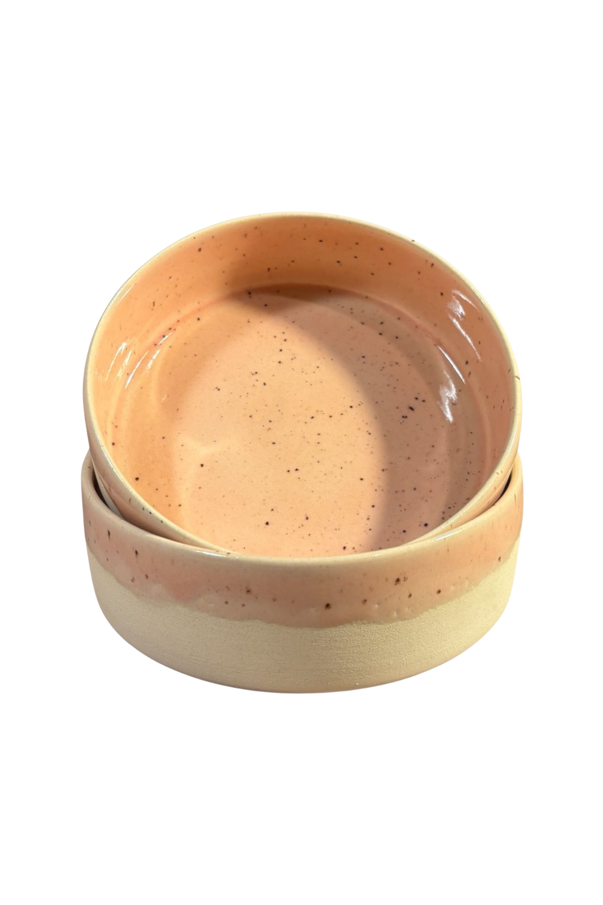 Feza Seramik Köpek Mama Kasesi 2li- Pemde Beyaz Benekli