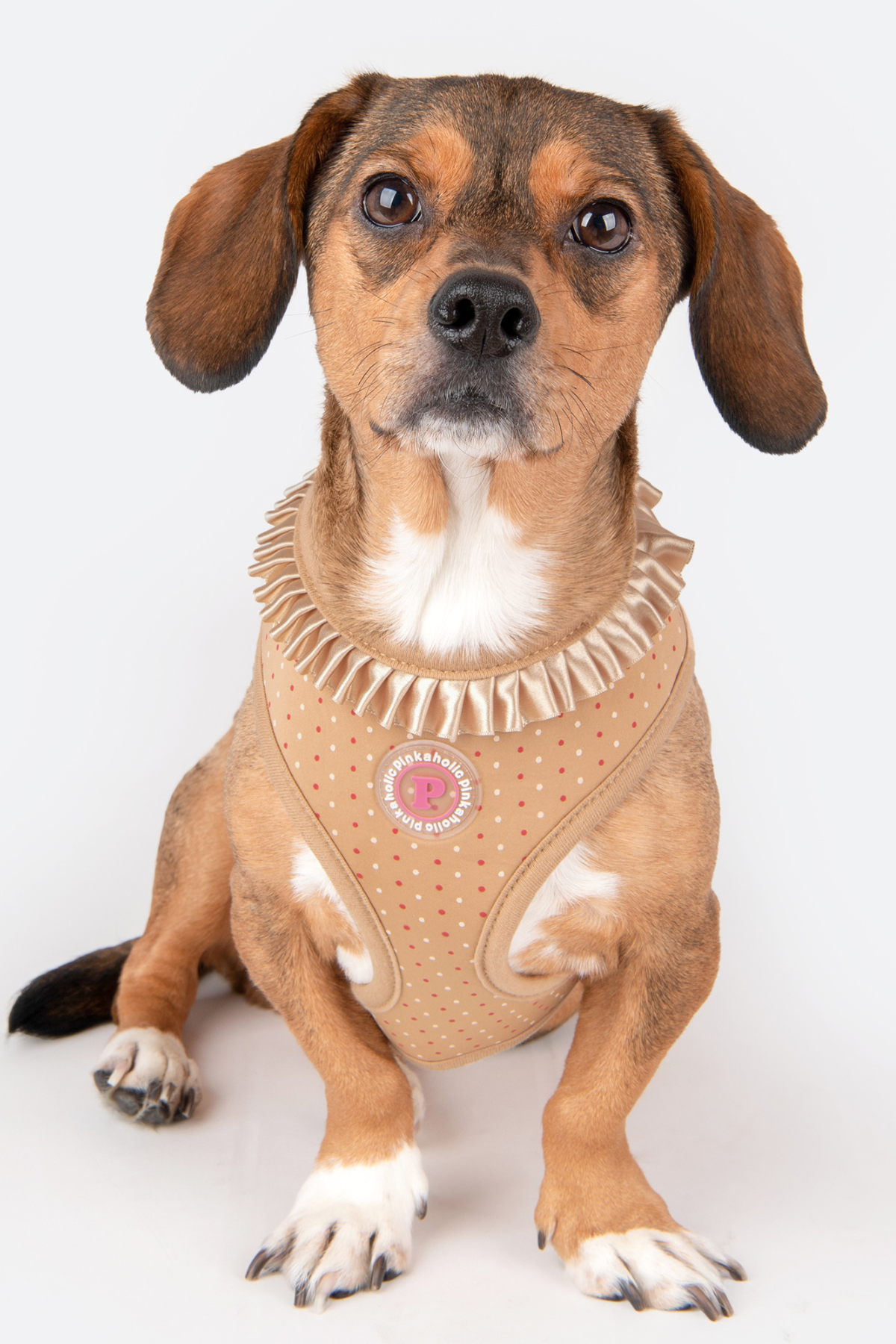 Pinkaholic New York Mila Harness Göğüs Tasması Bej