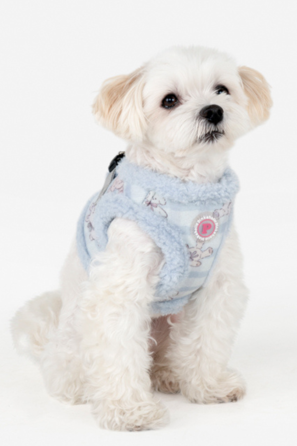 Pinkaholic Bronwen Vest Harness Köpek Göğüs Tasması Mavi 