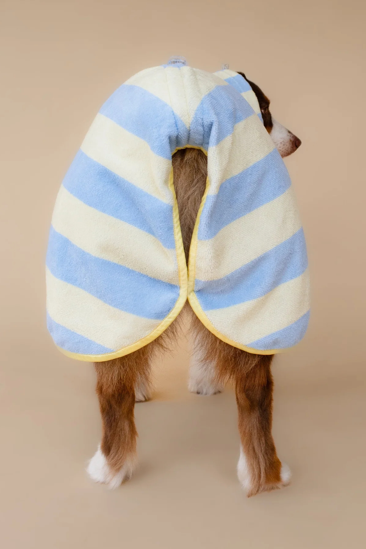 Asky&Erd Soft Rituals Cepli Köpek Kurulama Havlusu Butterscotch Çizgili Pijamalar ve Bornozlar