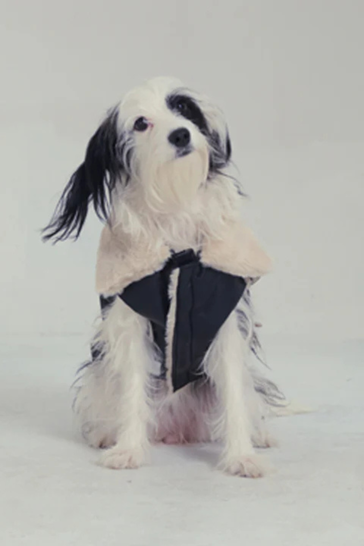 Godoist Nappa Köpek Montu - Nappa Leather Jacket