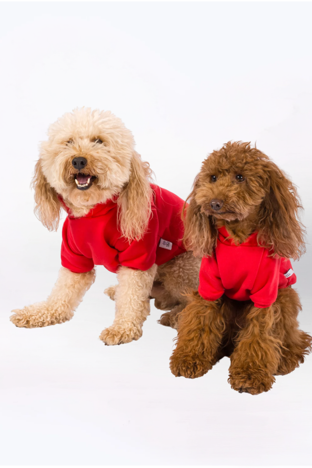 Kajuland Maura Köpek Hoodie Kırmızı