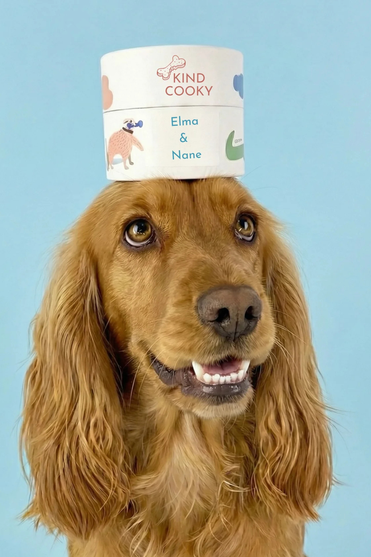 Kind Cooky Elmalı&Naneli Kurabiye Köpek Ödülü 130gr