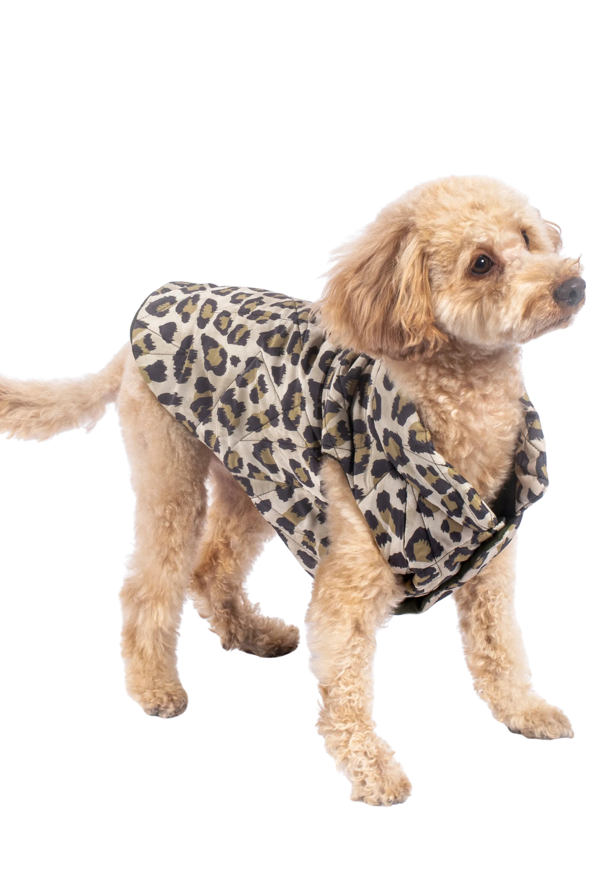 Kajuland Nomad Leopard Kapitone Yelek Yeşil
 