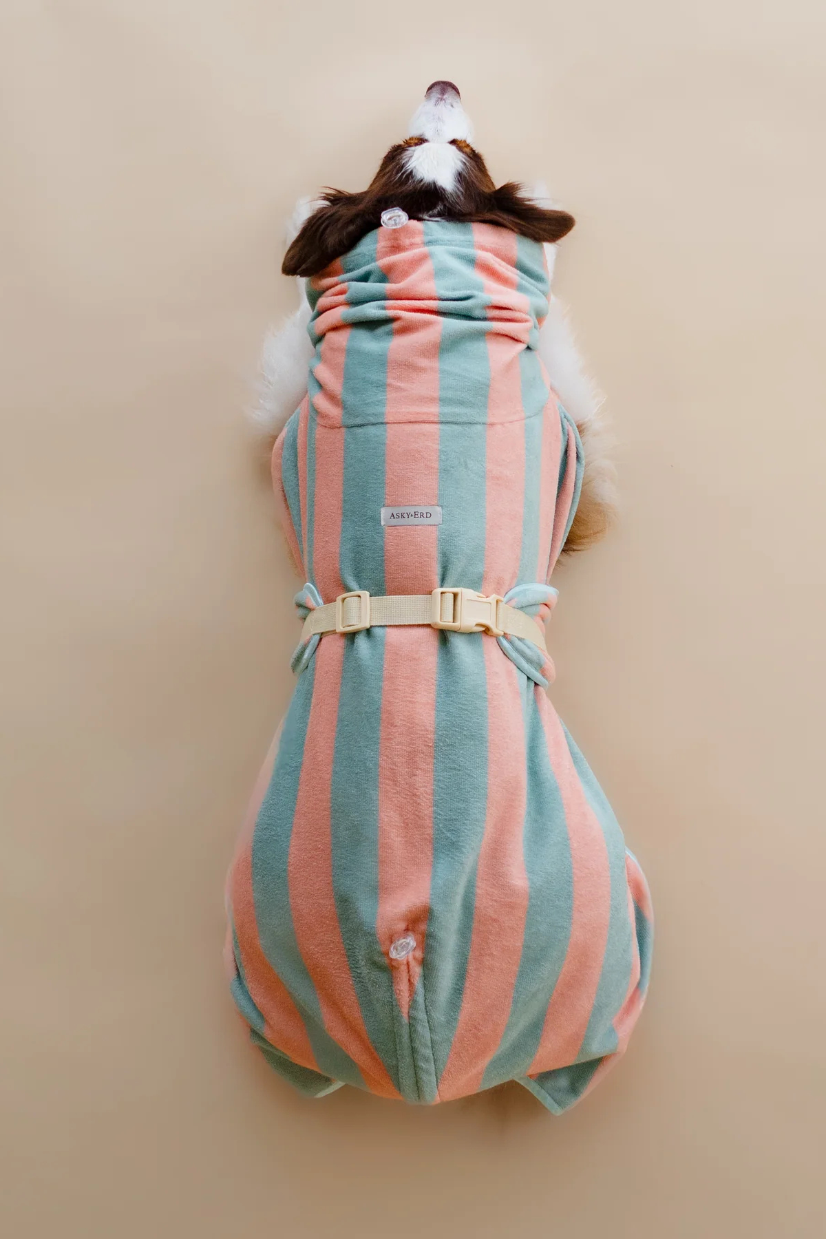 Asky&Erd Soft Rituals Cepli Köpek Kurulama Havlusu Deniz Köpüğü ve Somon Rengi Çizgili Pijamalar ve Bornozlar