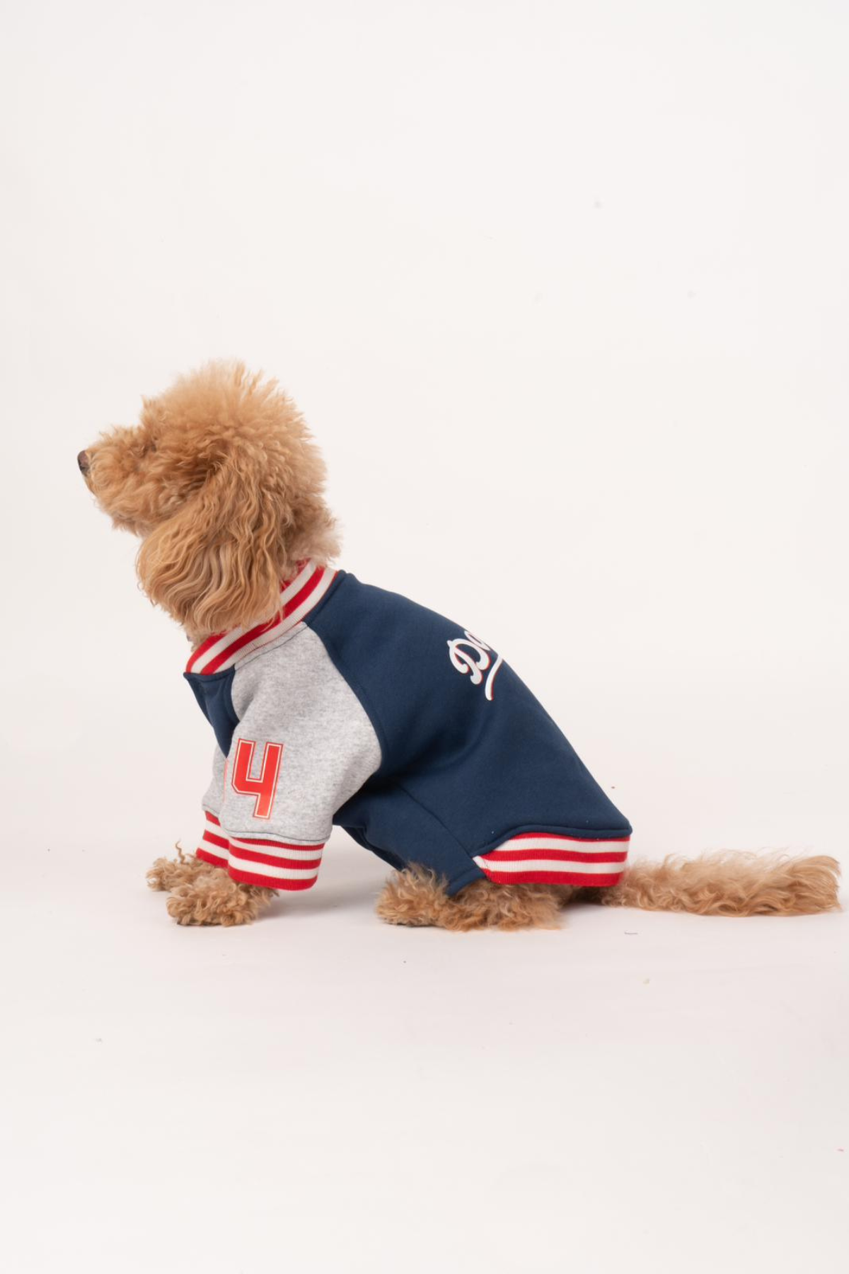 Doredog Köpek Kolej Ceket