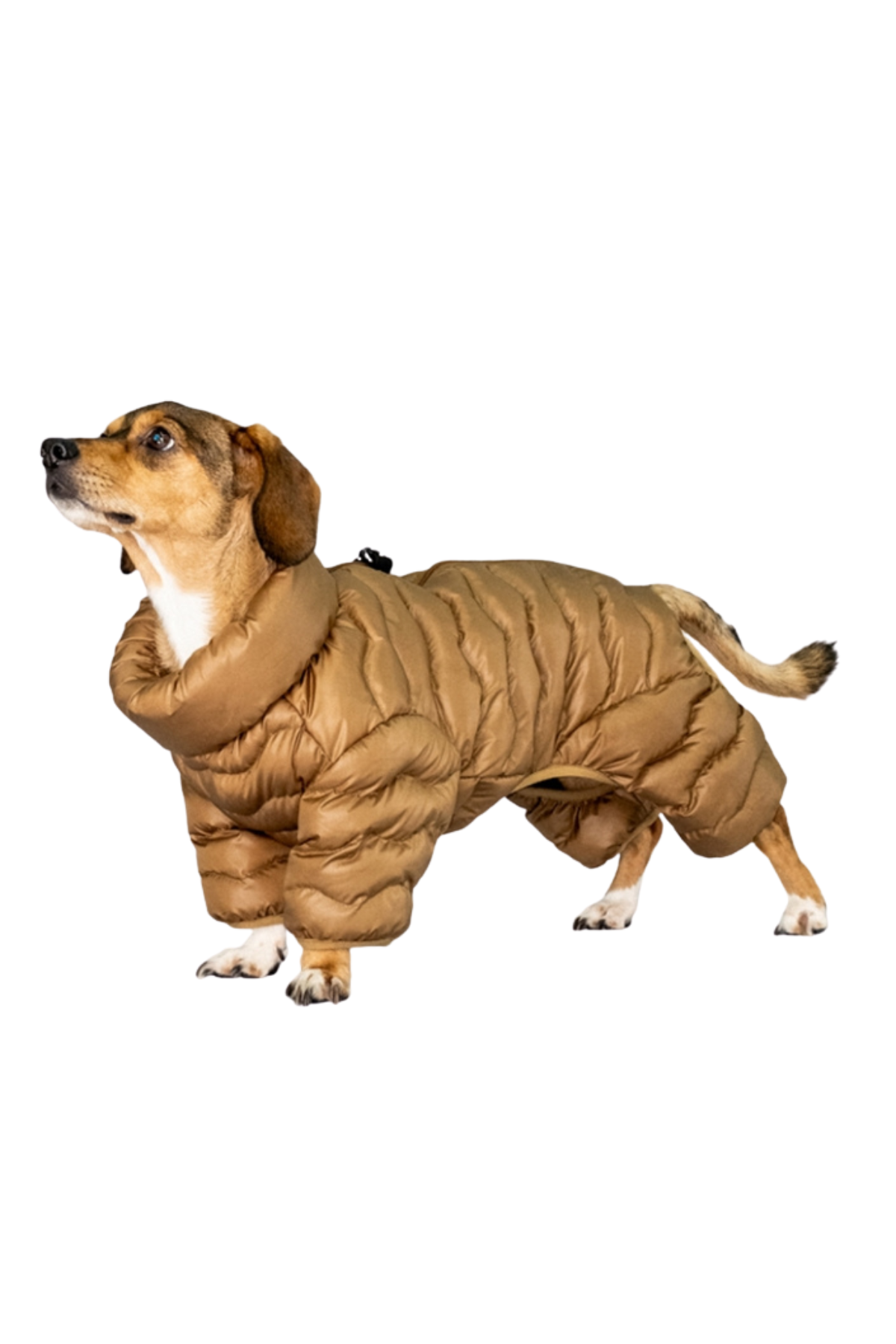 Puppia Wavy Puffer Köpek Tulumu - Kahverengi