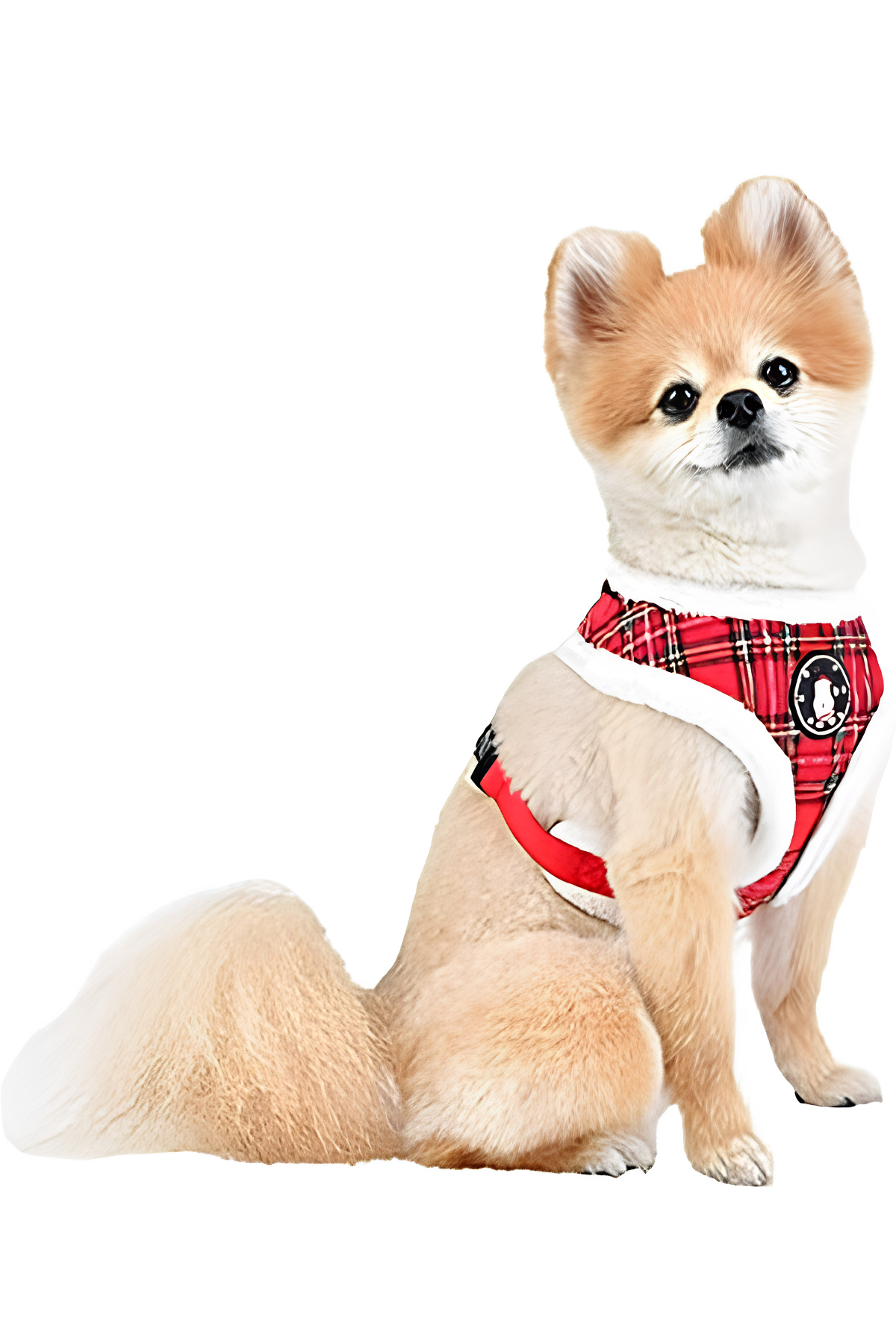 Puppia Christmas A Tipi Köpek Tasması