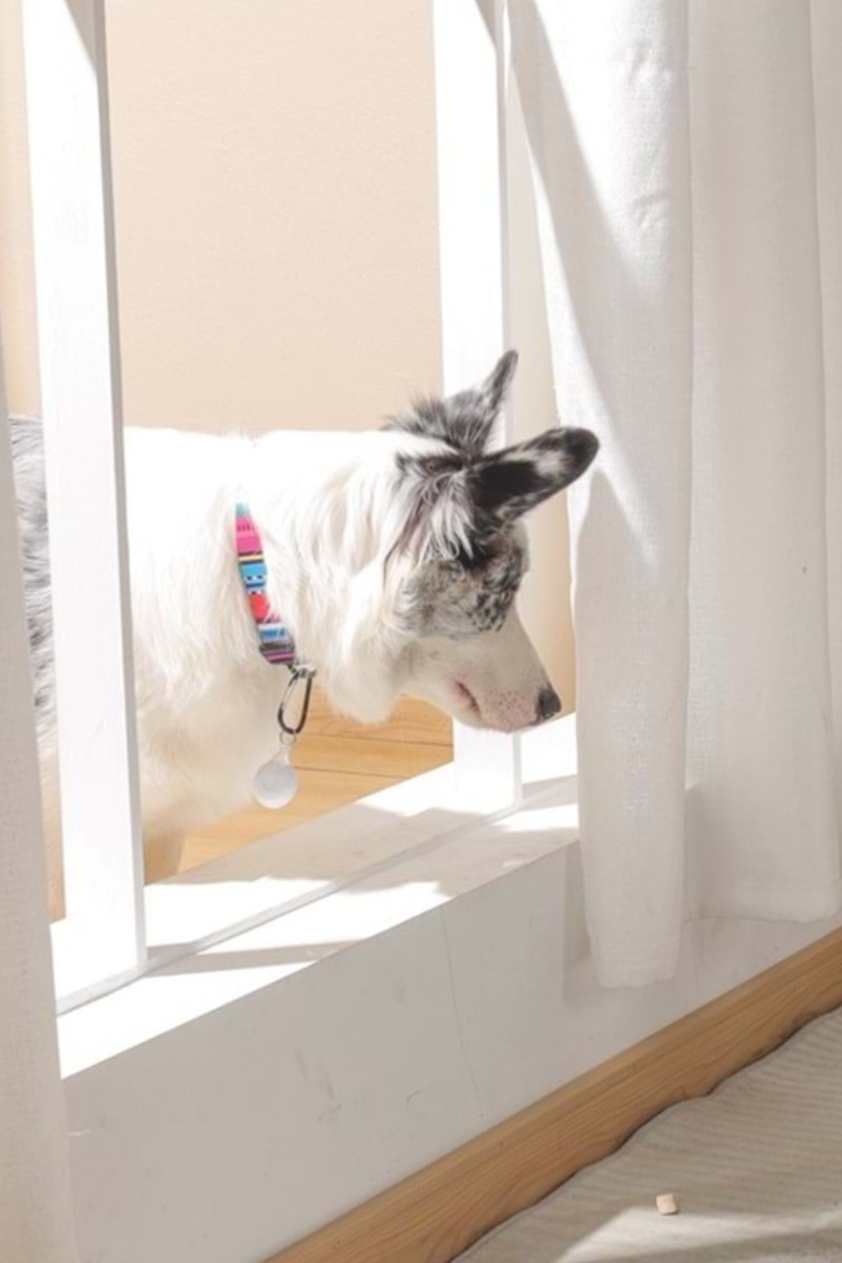 M-Pets Fearless Ultrasonic Pire ve Kene Kovucu Beyaz
