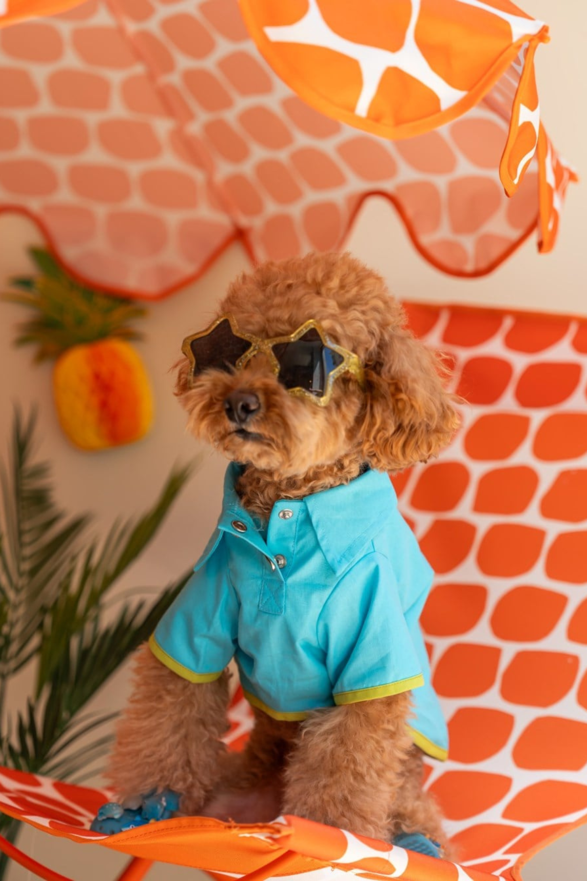 Lolidogs Köpek Gömleği Sailor