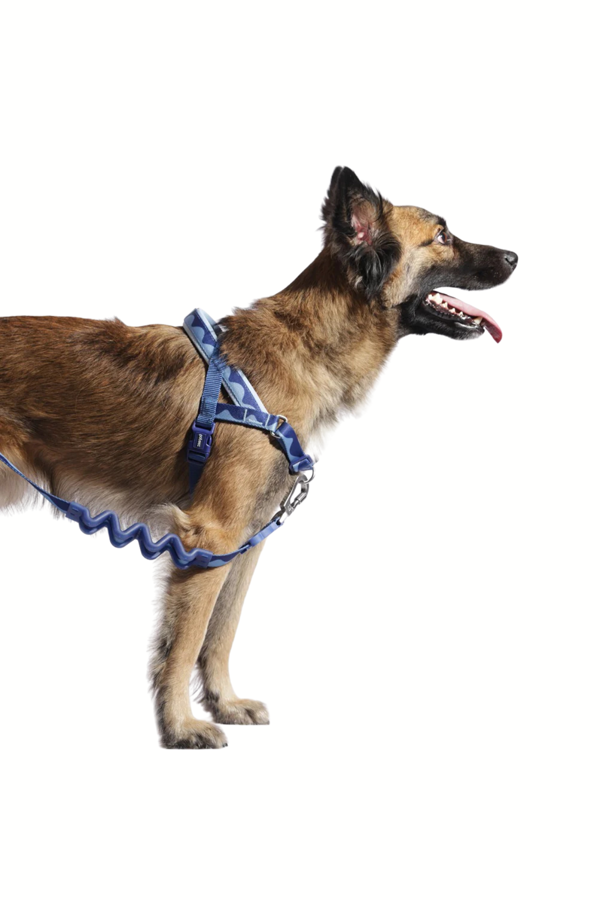 Zee.Dog Swell Softerwalk Köpek Göğüs Tasması