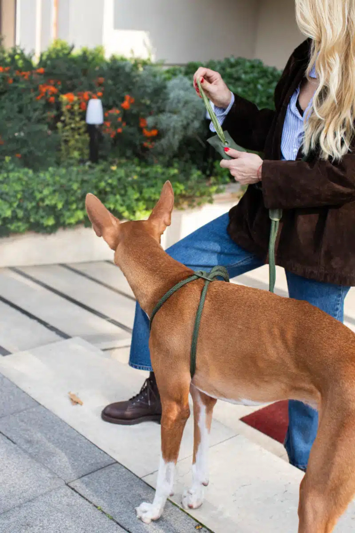 Zoe Pet Atelier All In One Köpek Göğüs Tasması ve Gezdirme Kayışı Seti Haki Yeşil