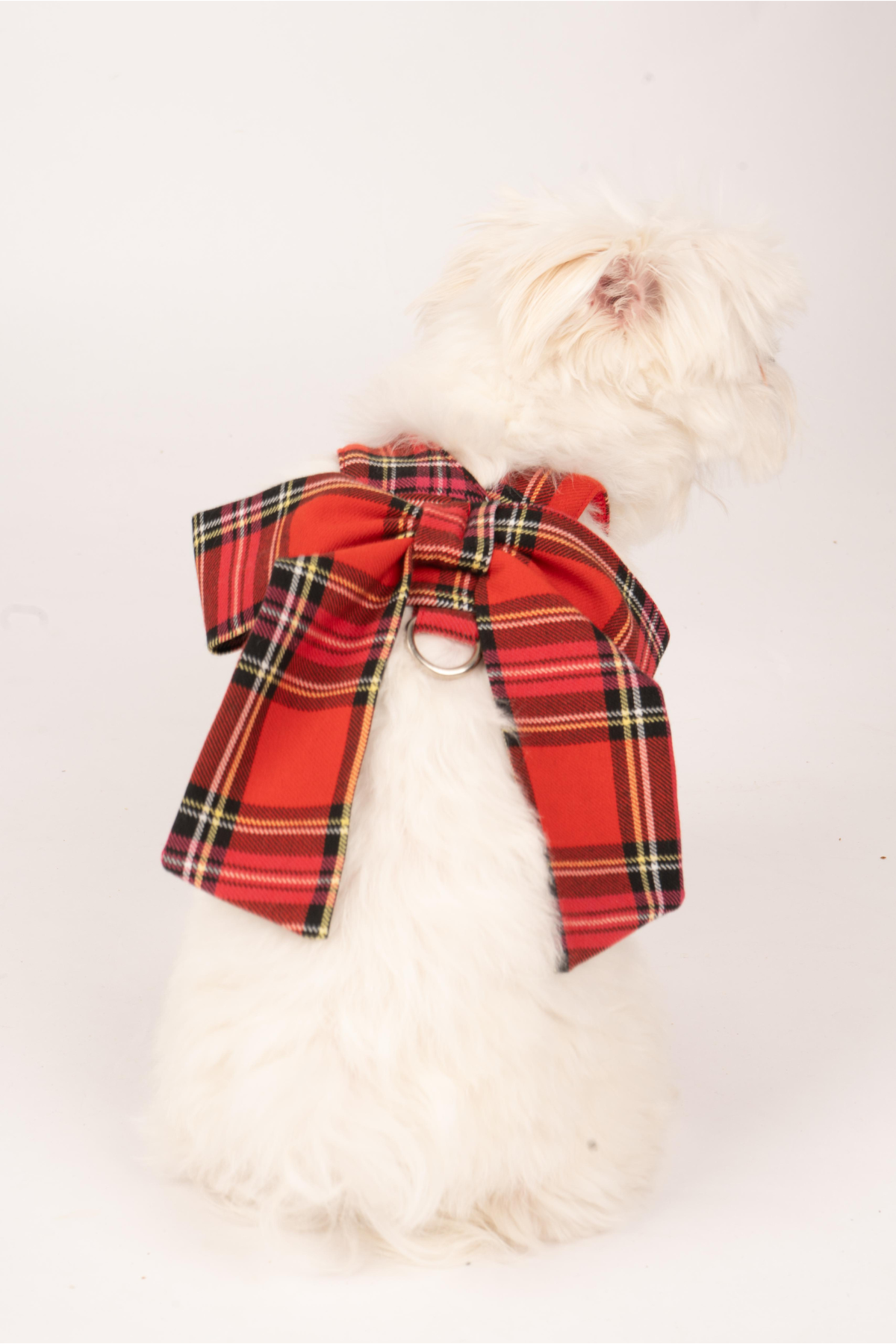 Doredog Fiyonklu Ekoseli Köpek Tasma 