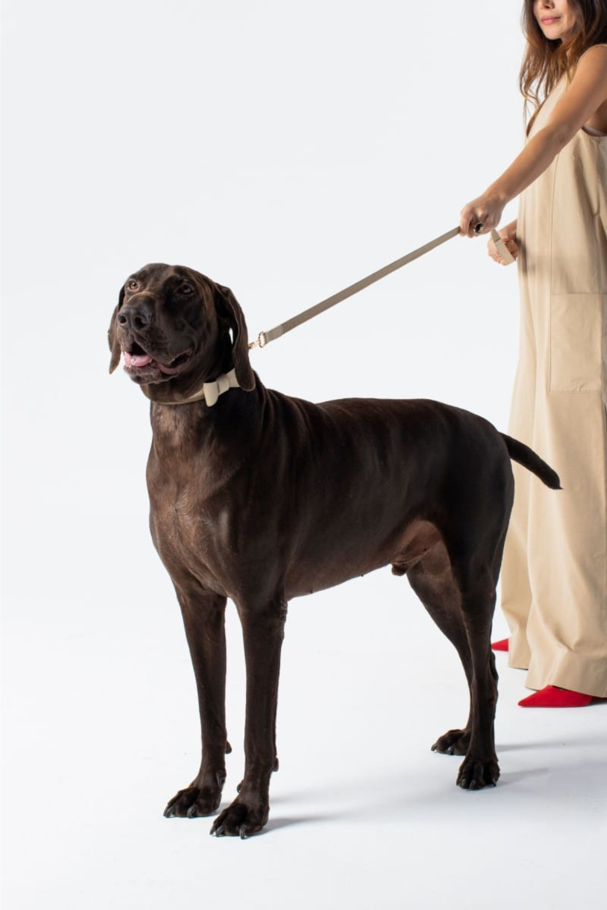 Pamuk&Deri Bej Gezdirme Kayışı
