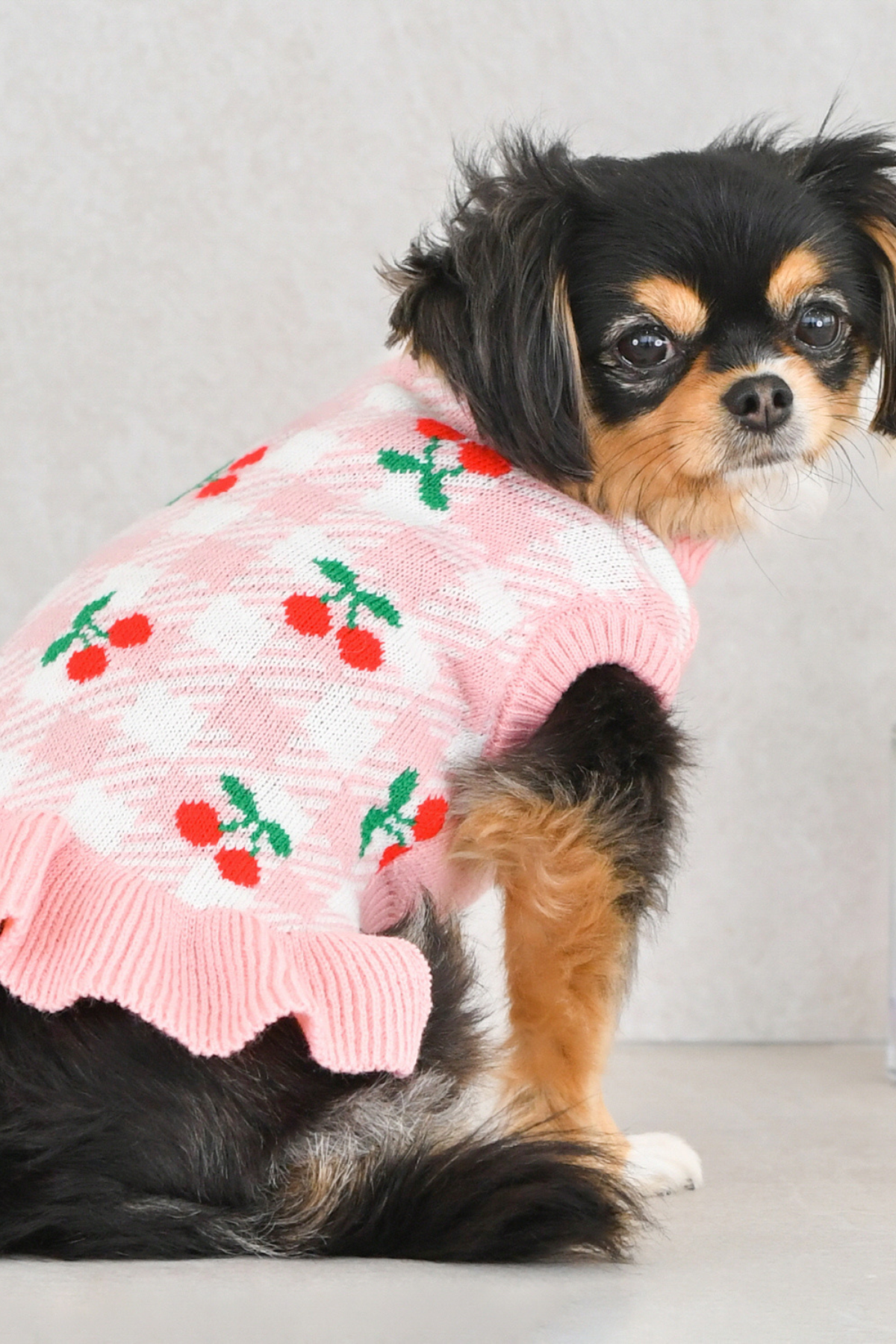 Puppia Rio Örgü Köpek Elbisesi Pembe 