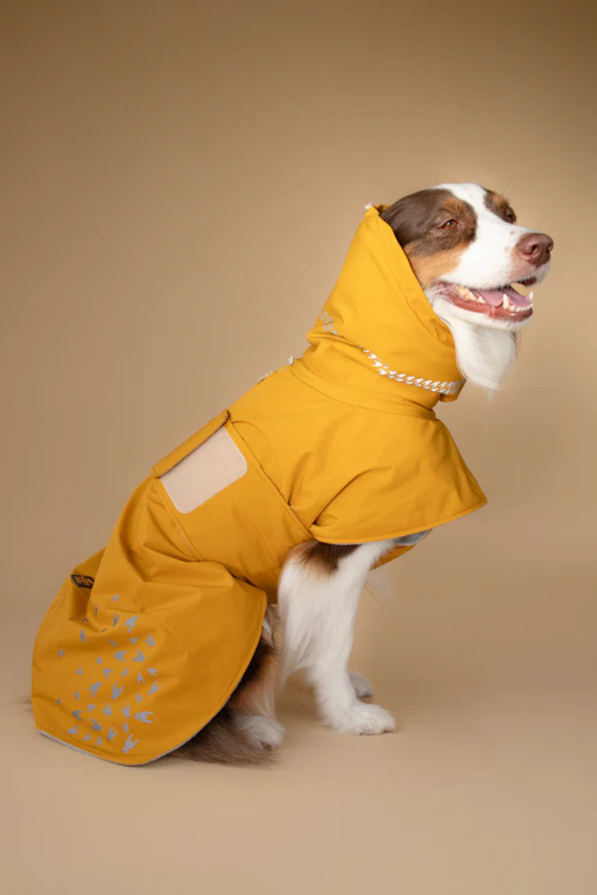 Asky&Erd Seattle StormGuard Coat  Yağmurluk Mustard Fog