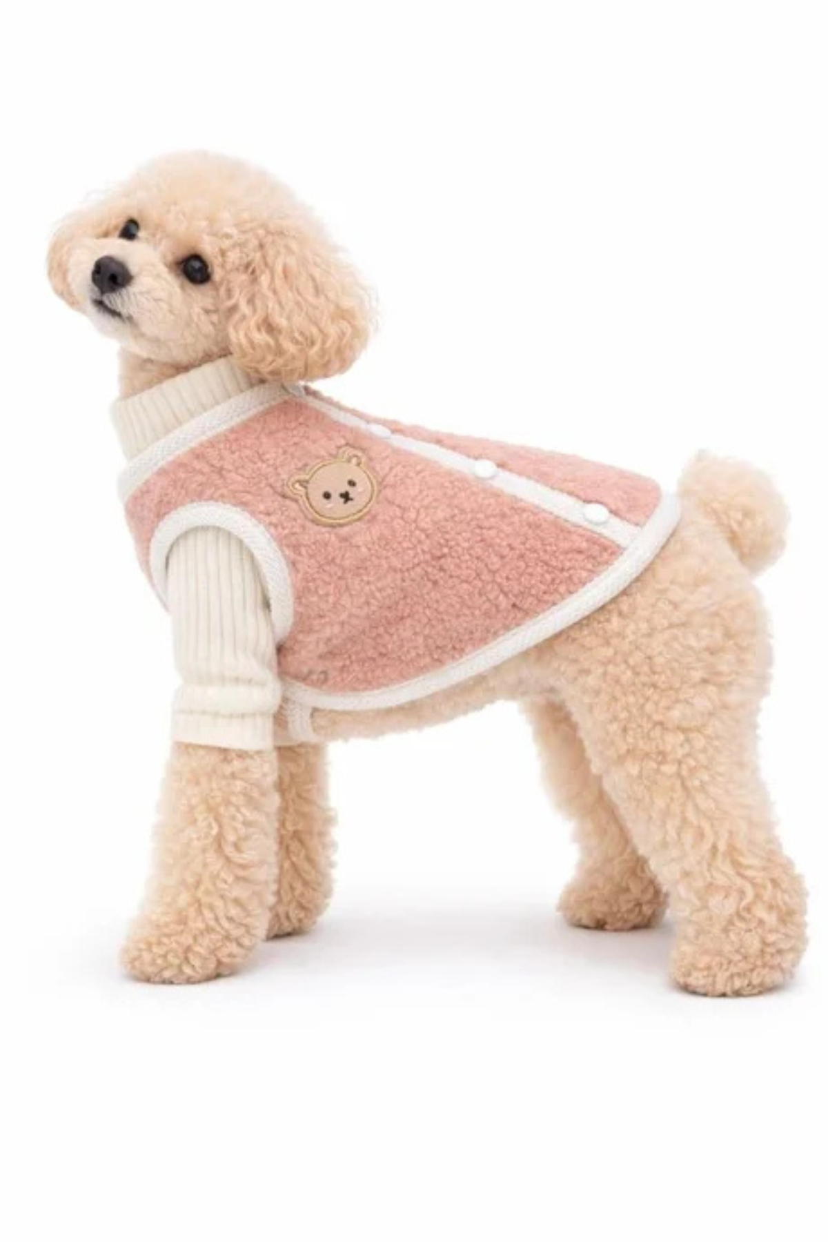 Dolcepets Ayıcık Desenli Köpek Hırka Pembe