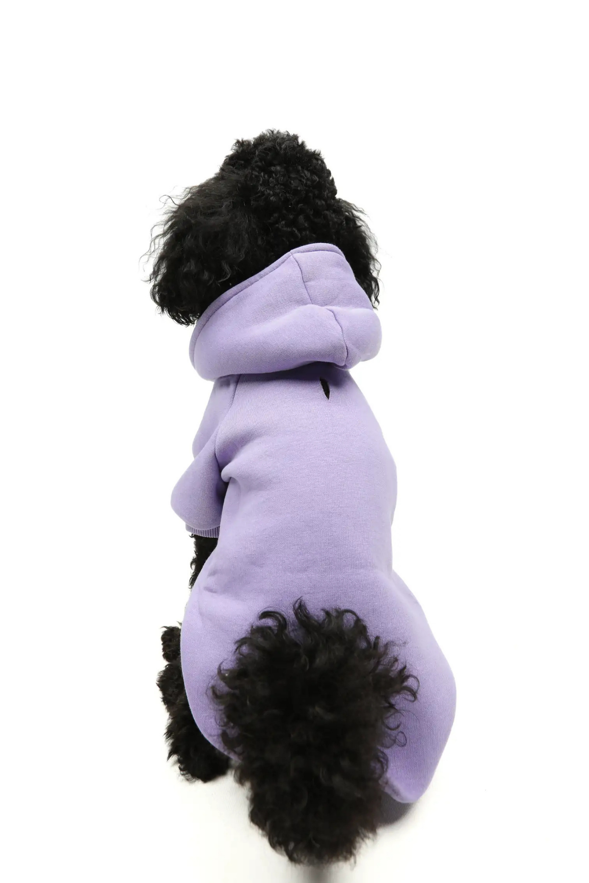 Goodboi Köpek Hoodie Lila