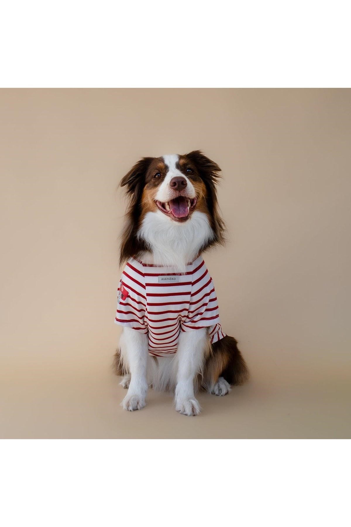 Asky&Erd Bonjour Paris Köpek T-Shirt | Rouge Breton