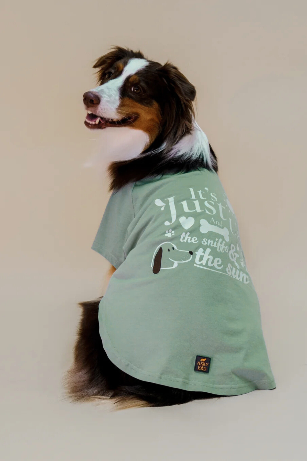 Asky&Erd It’s Just Us Tshirt | Seafoam Mist Köpek Tişört