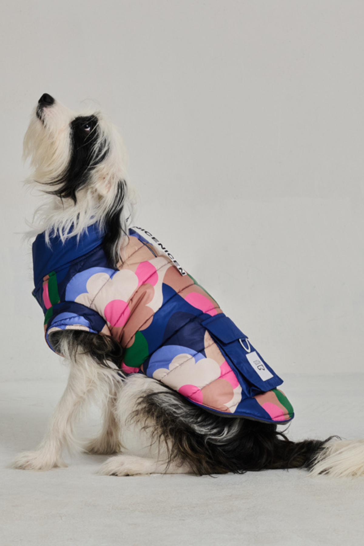 Godoist Köpek Montu Polar - Puffer Series - Flawery