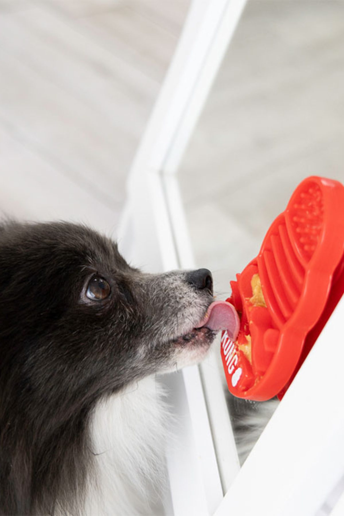 Kong Licks Köpekler için Sıvı Ödül Maması Oyuncağı S
