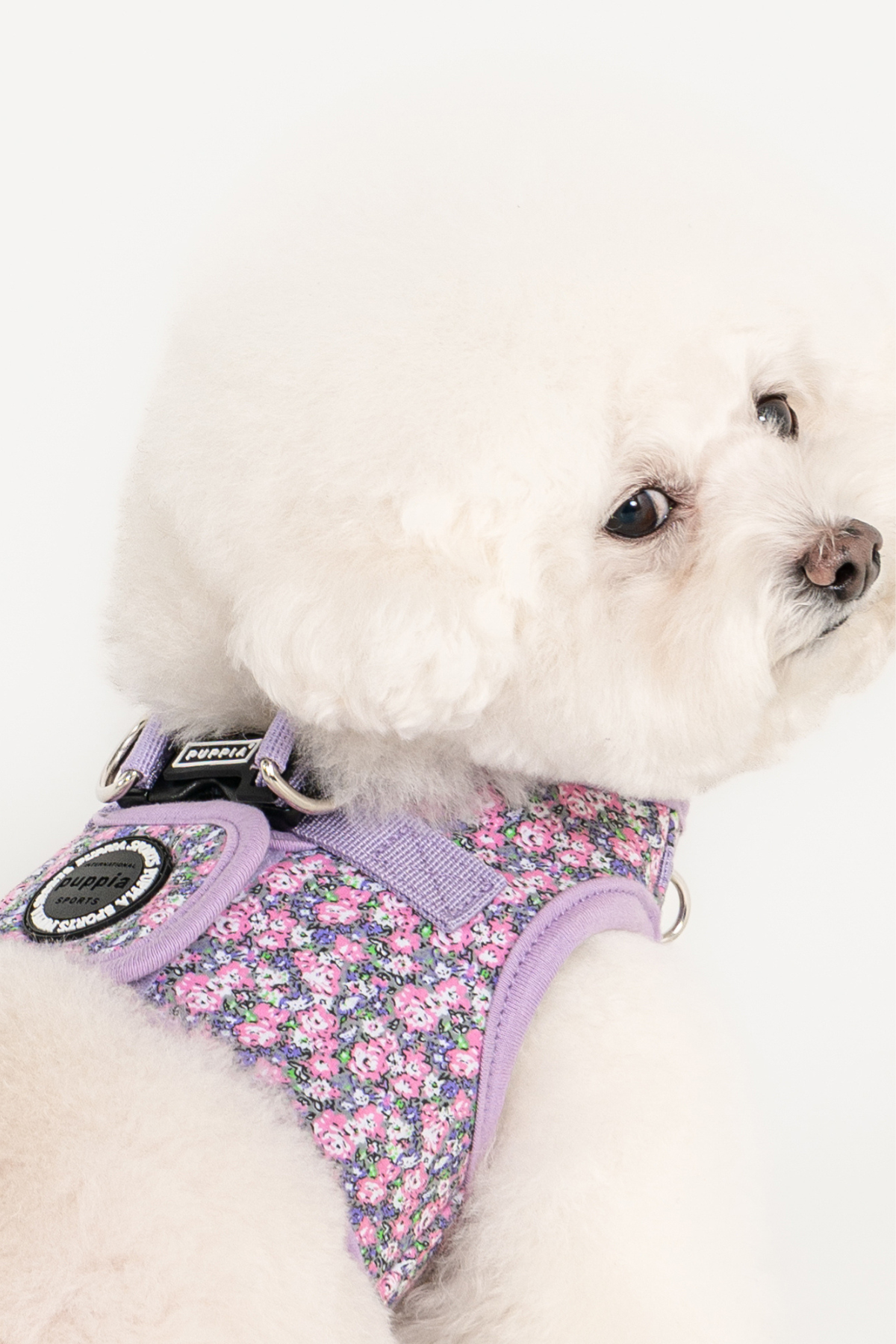 Kealoha Harness B Köpek Göğüs Tasması Mor 