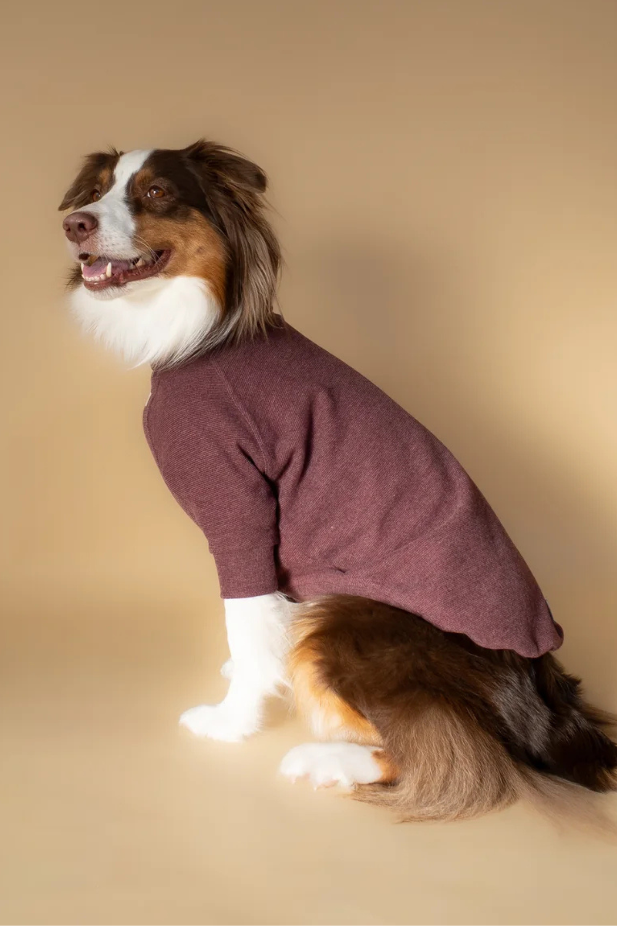 Asky&Erd Turtleneck | Mulberry Wine