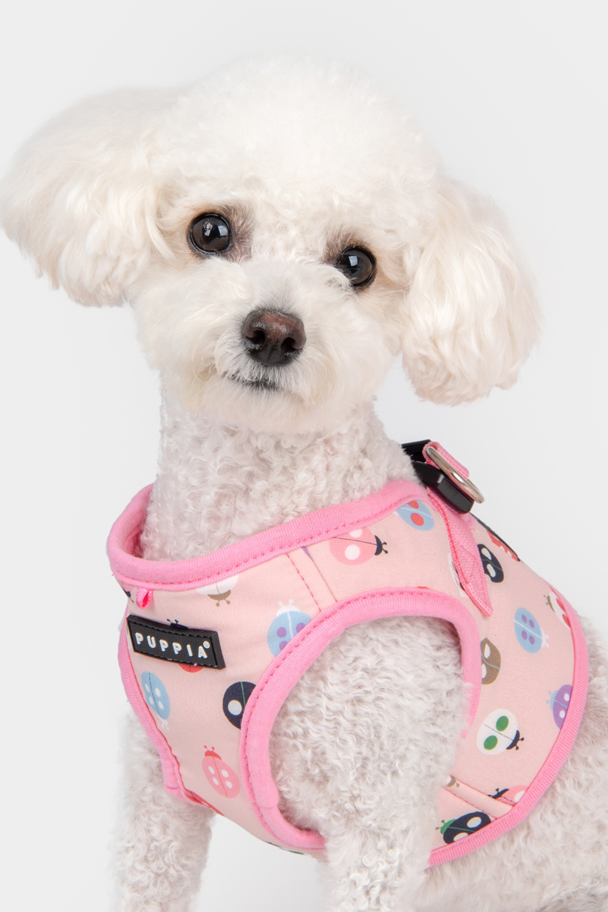 Lady Beetle Harness B Köpek Göğüs Tasması Pembe