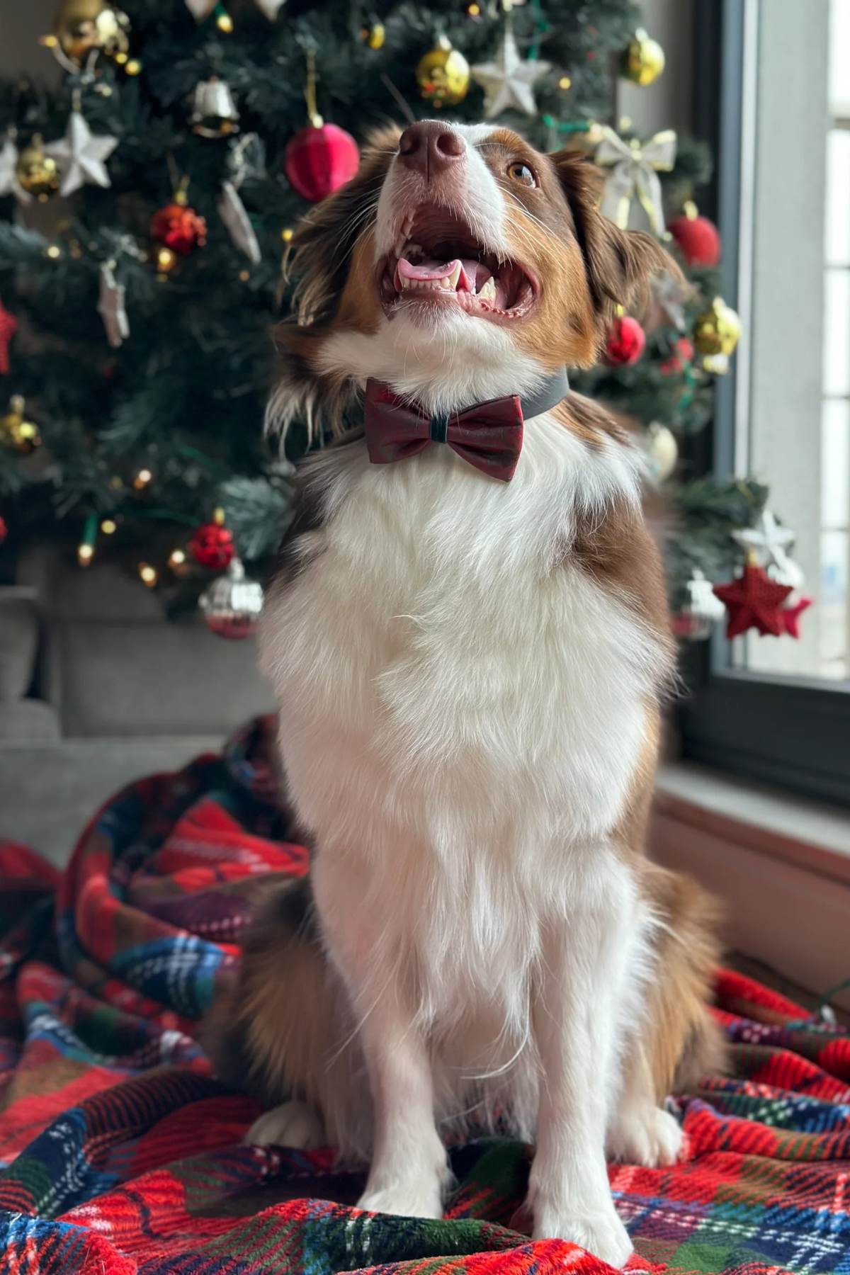 Red&Green Satin Bow Tie Deers