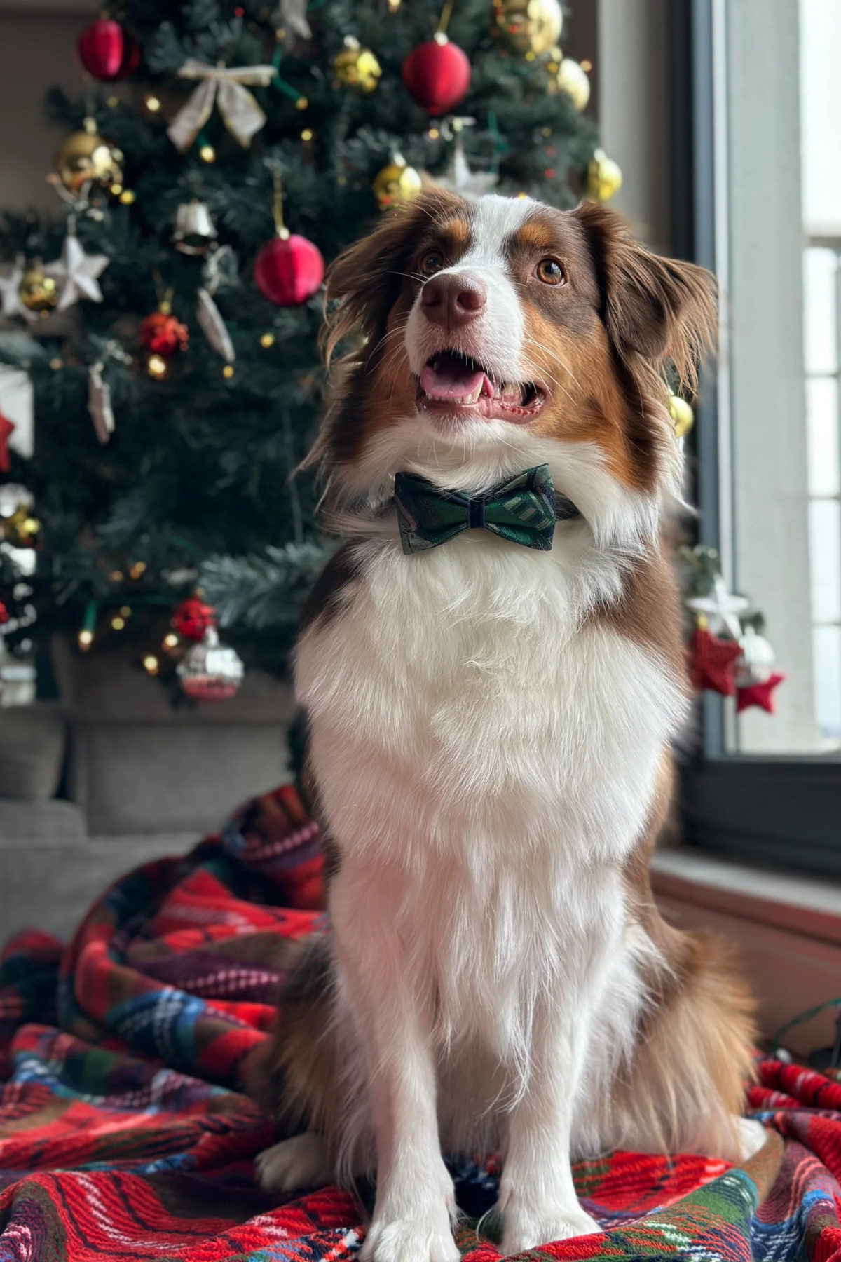 Green Navy Satin Bow Tie Geometrics