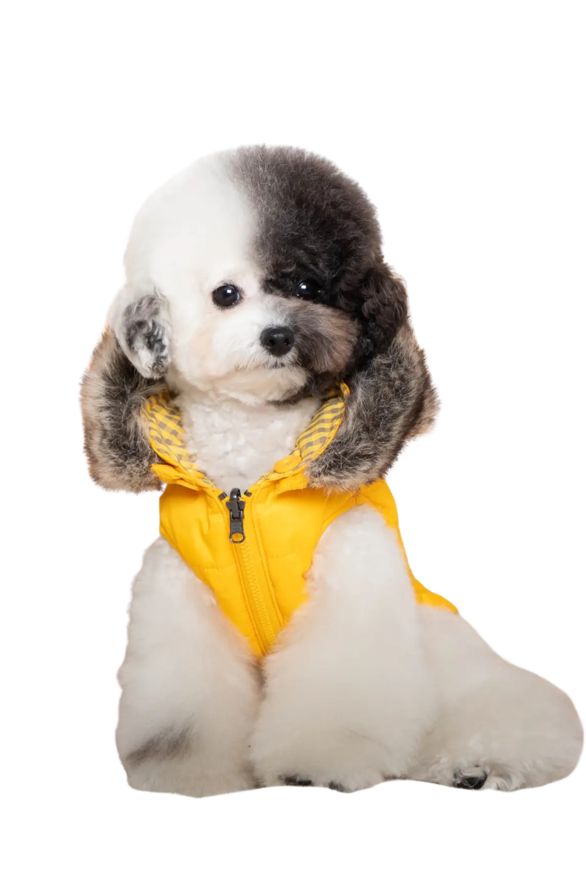 Puppia Hollis Tersyüz Kürklü Kapüşonlu Köpek Montu Sarı