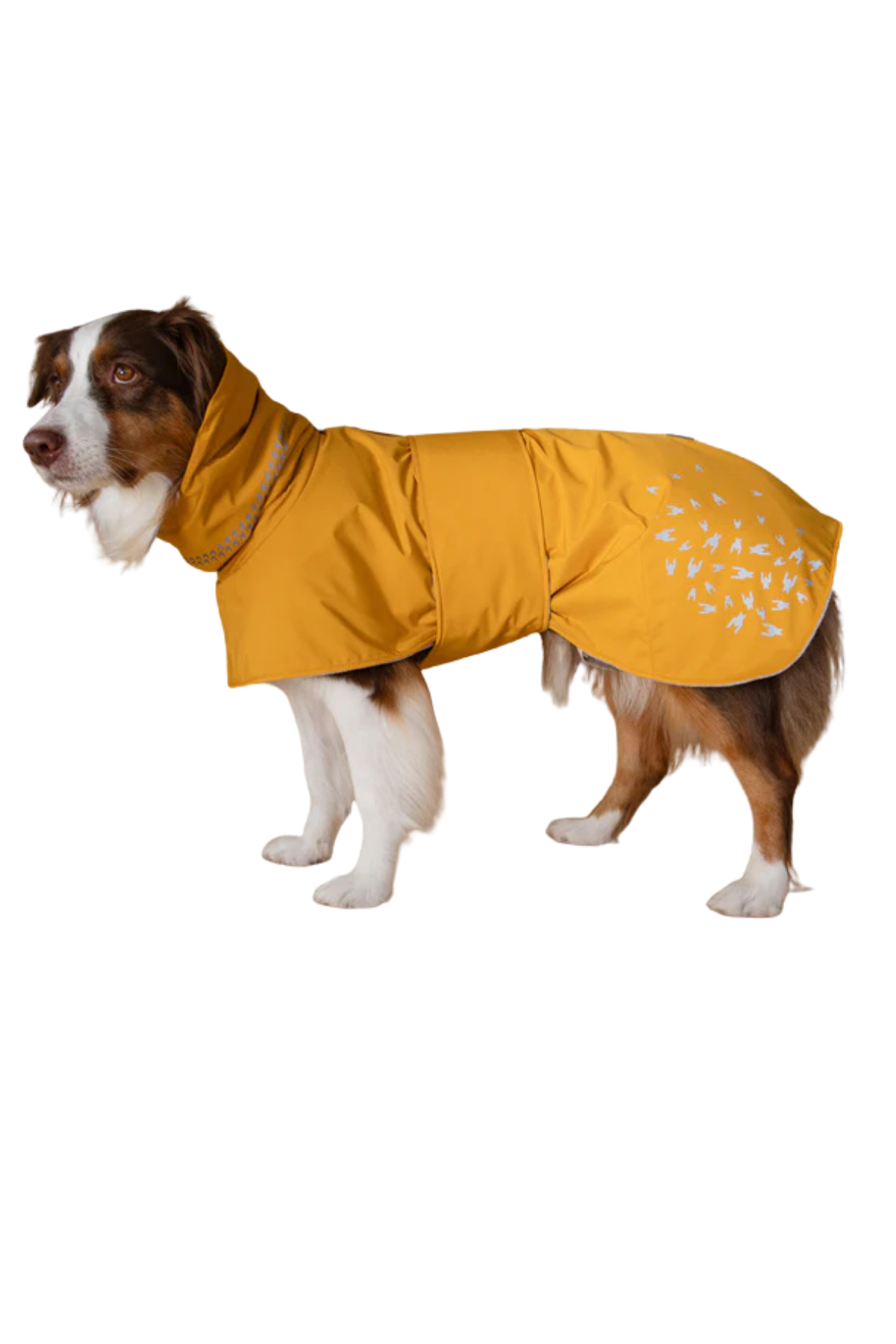 Asky&Erd Seattle StormGuard Coat  Yağmurluk Mustard Fog