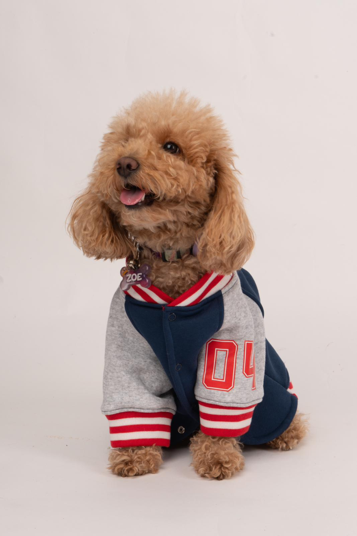 Doredog Köpek Kolej Ceket