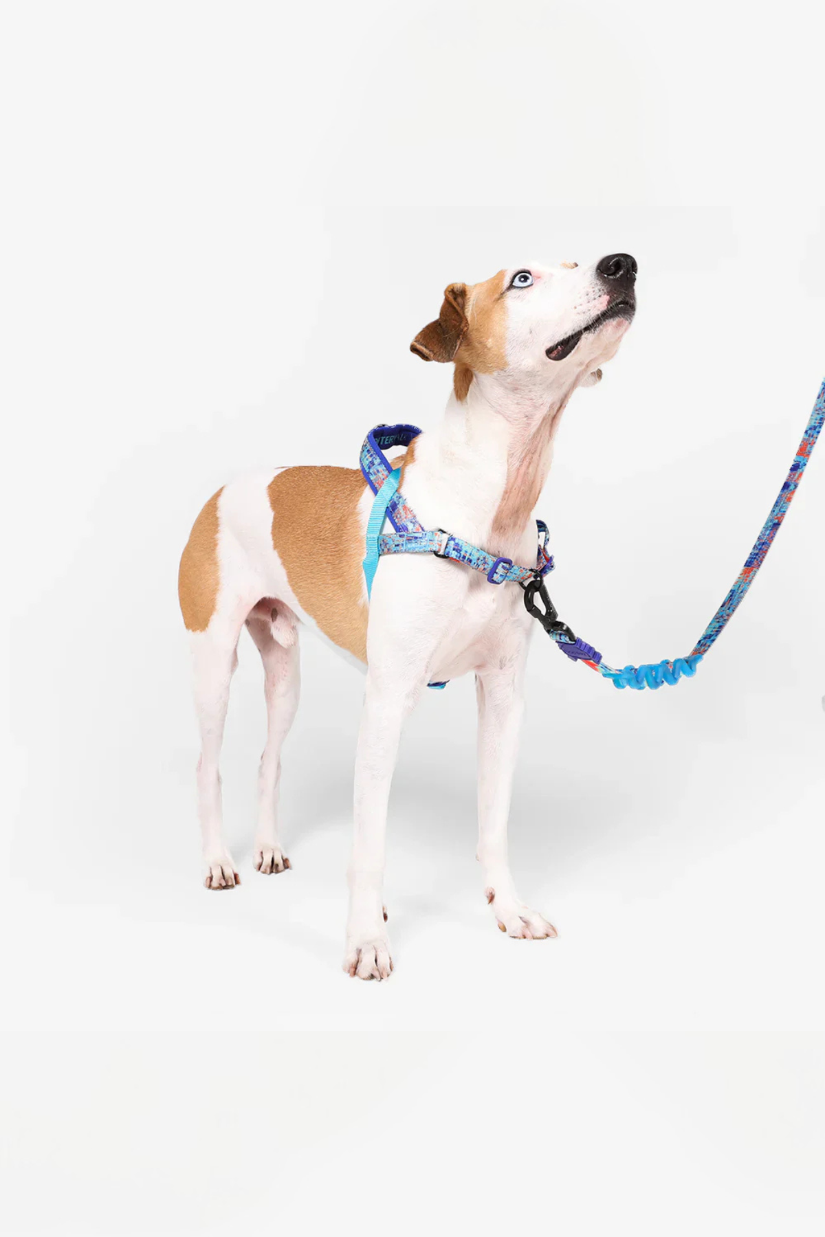 Glitch Error #404 Softer Walk Göğüs Tasması - Zee.Dog